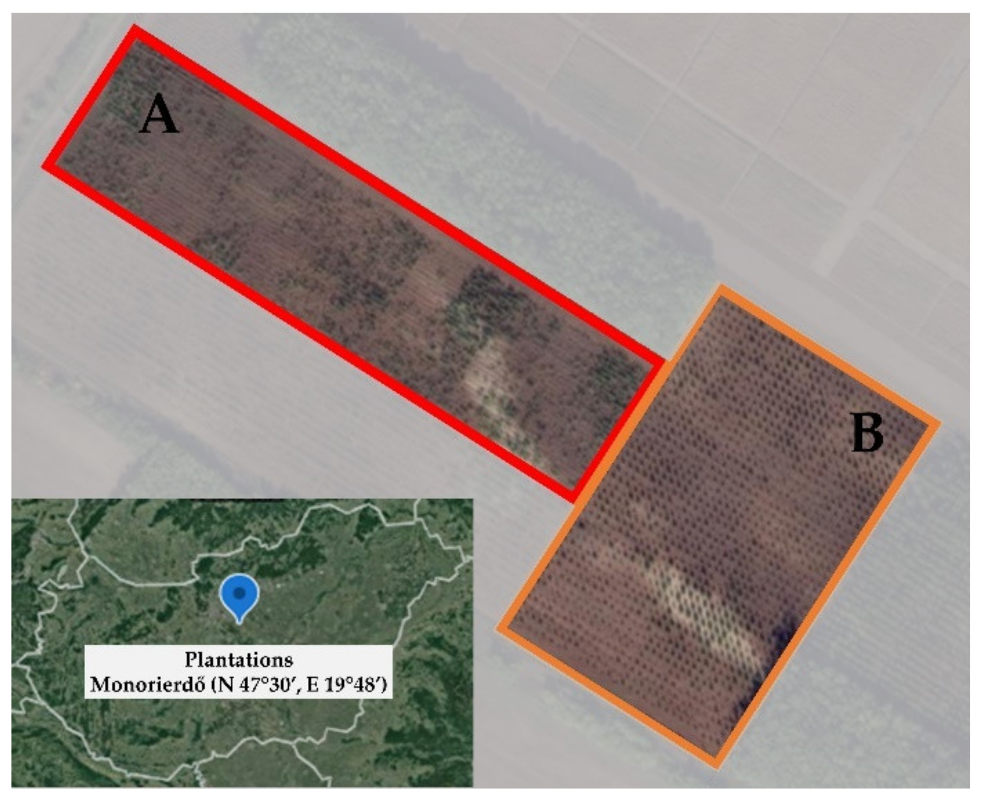 Forests 12 01218 g001 Forests 12 01218 g001