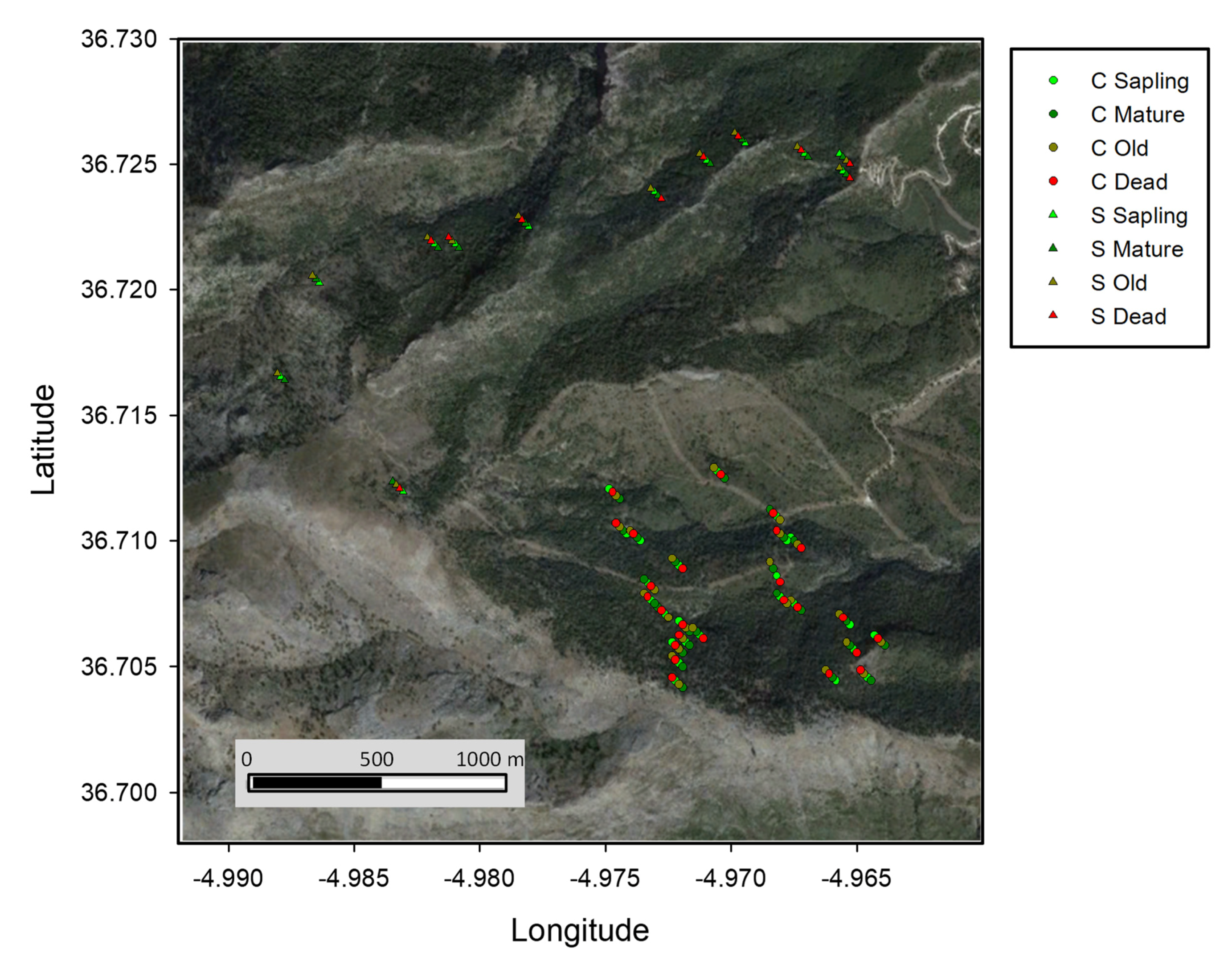 Forests 12 01220 g001