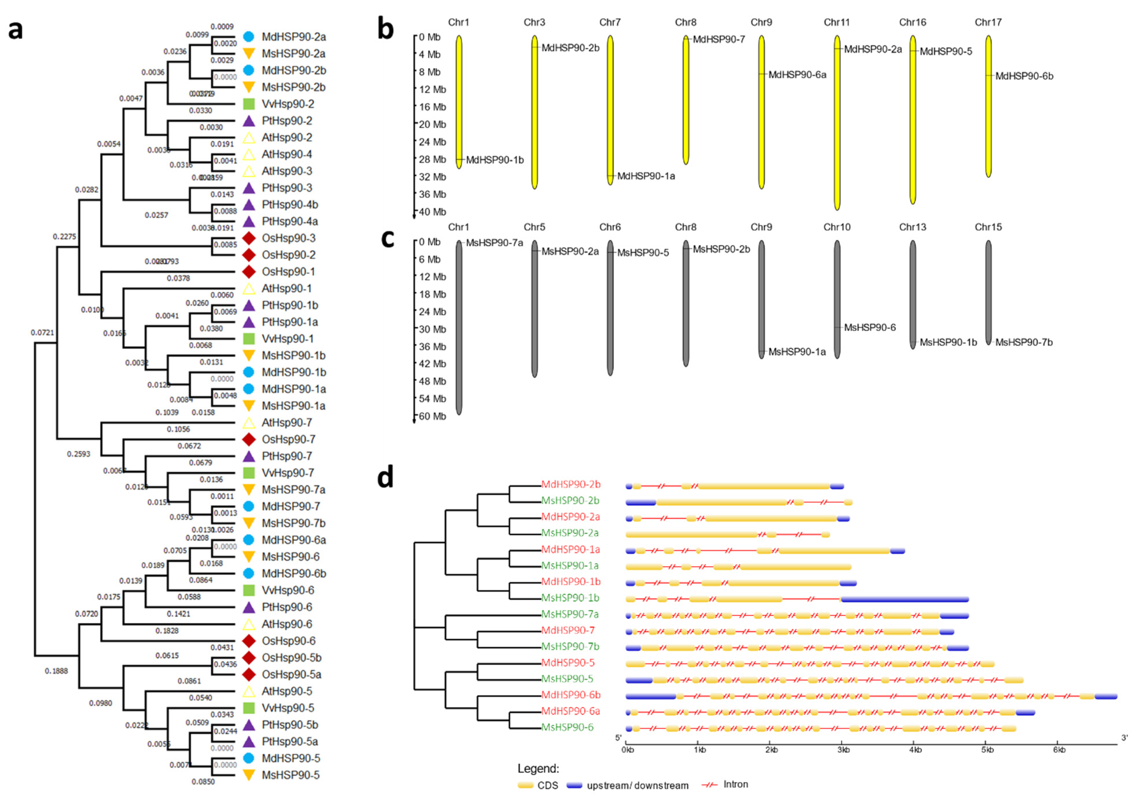 Forests 12 01232 g002