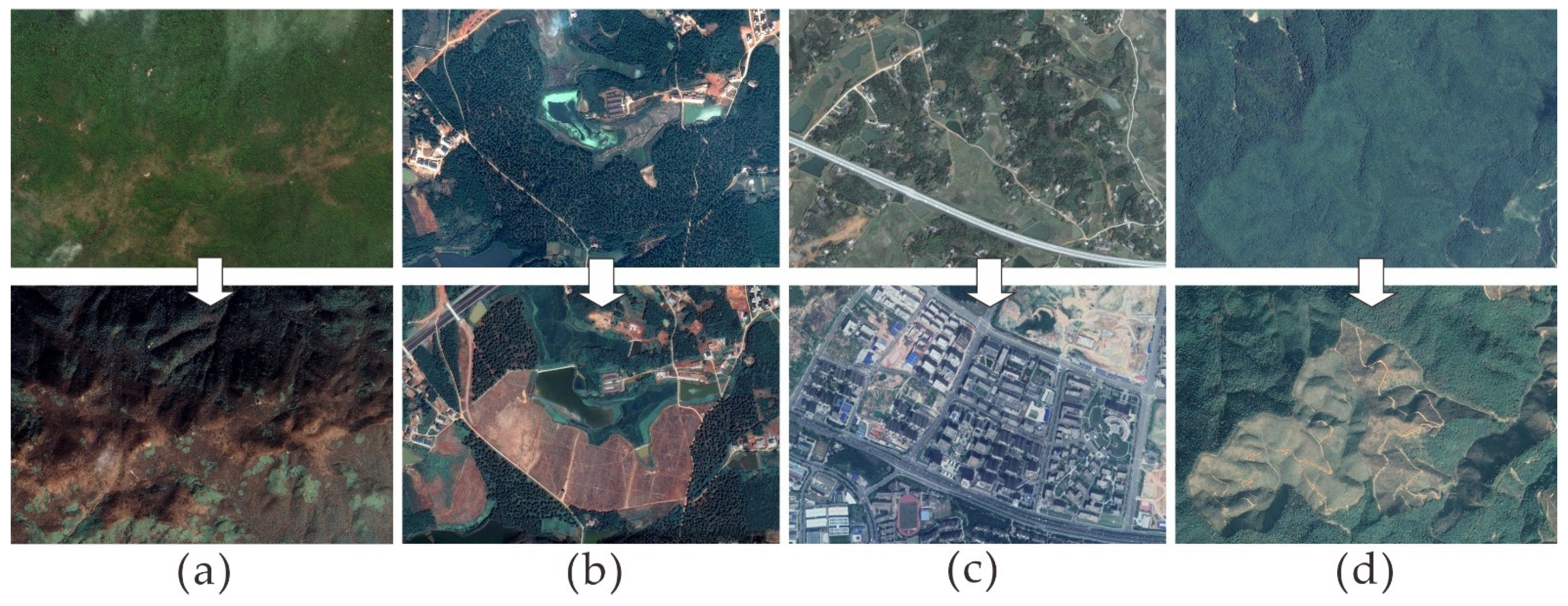 Forests 12 01242 g004