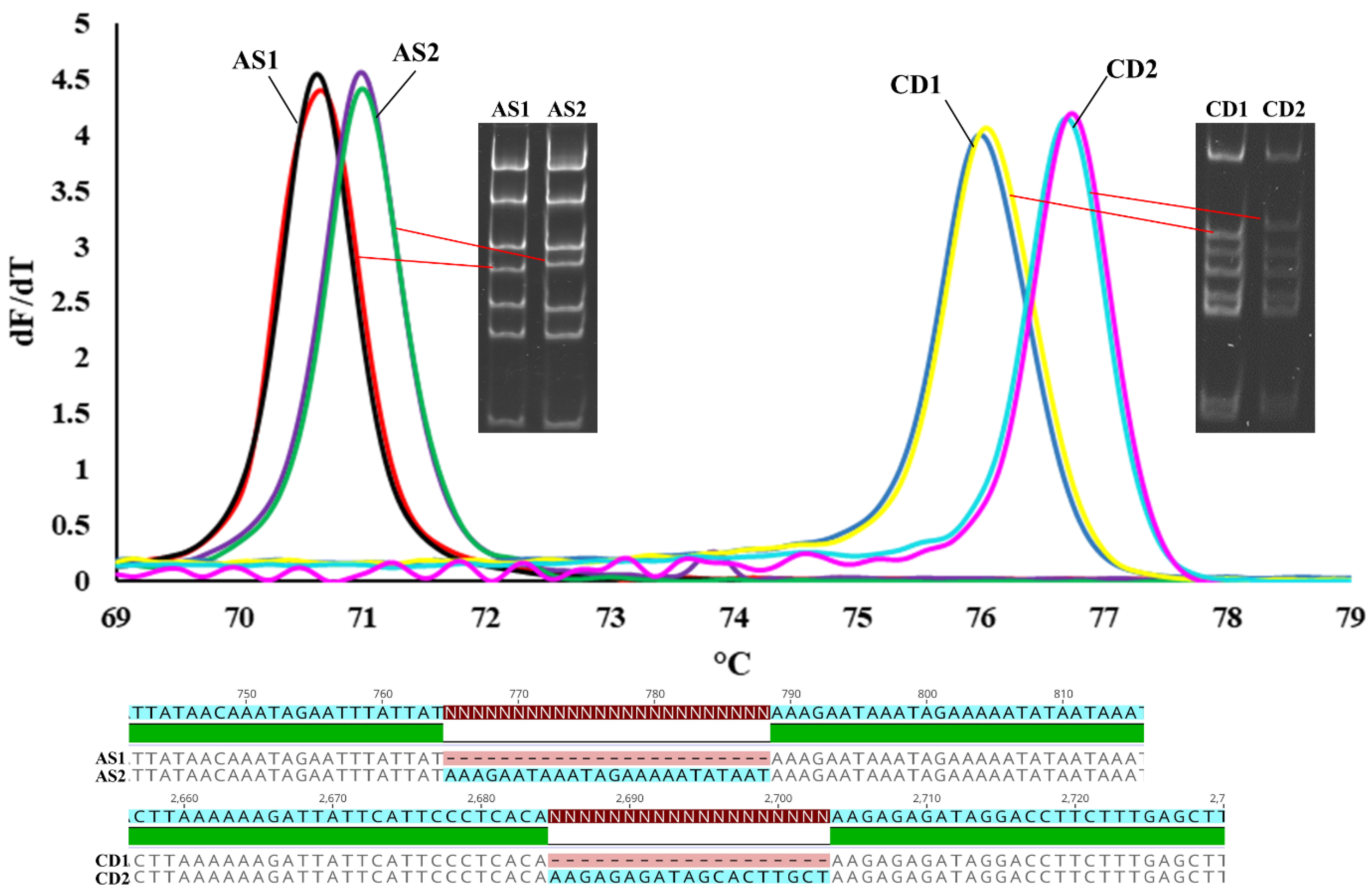 Forests 12 01246 g002