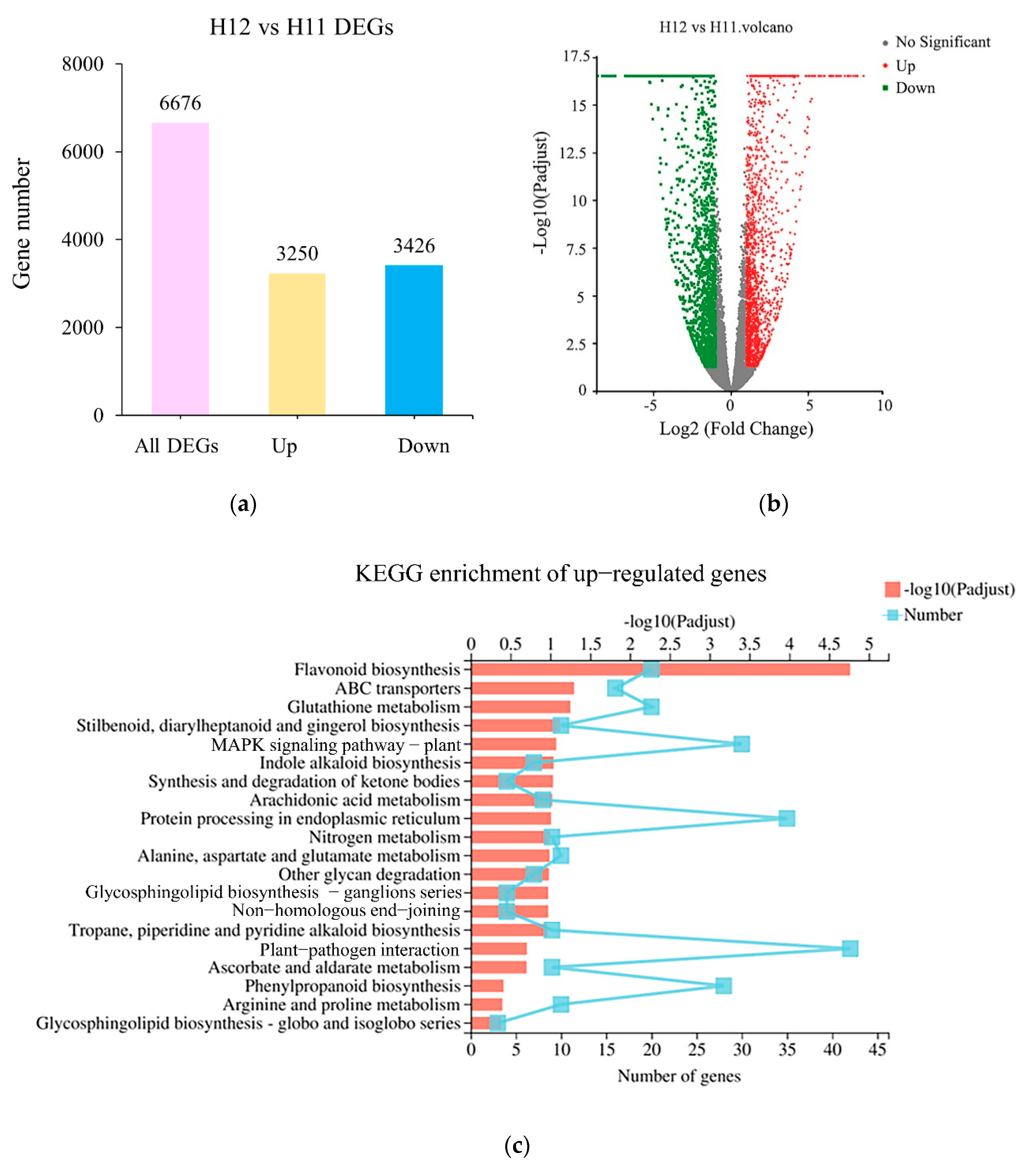 Forests 12 01260 g003