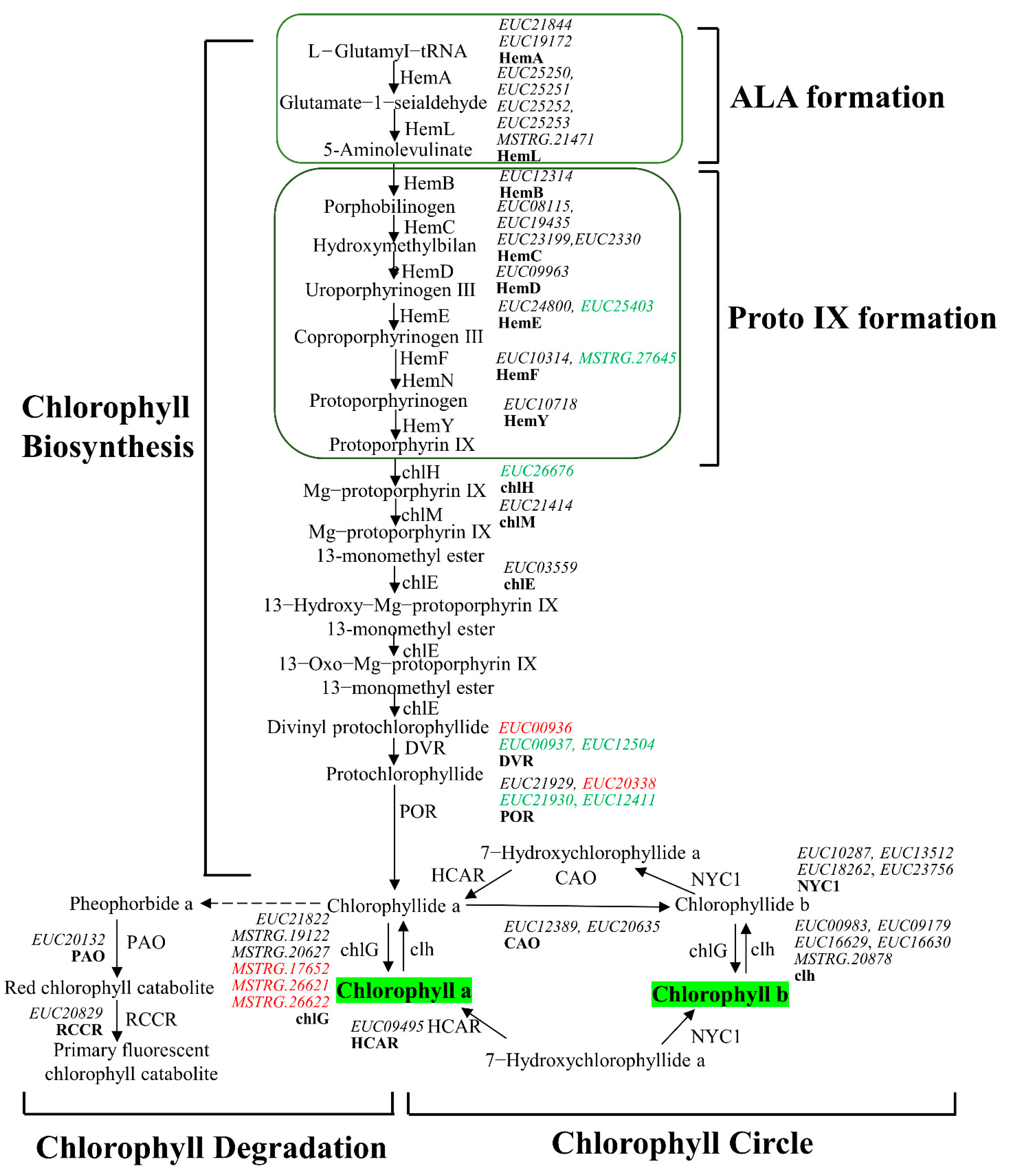 Forests 12 01260 g004a