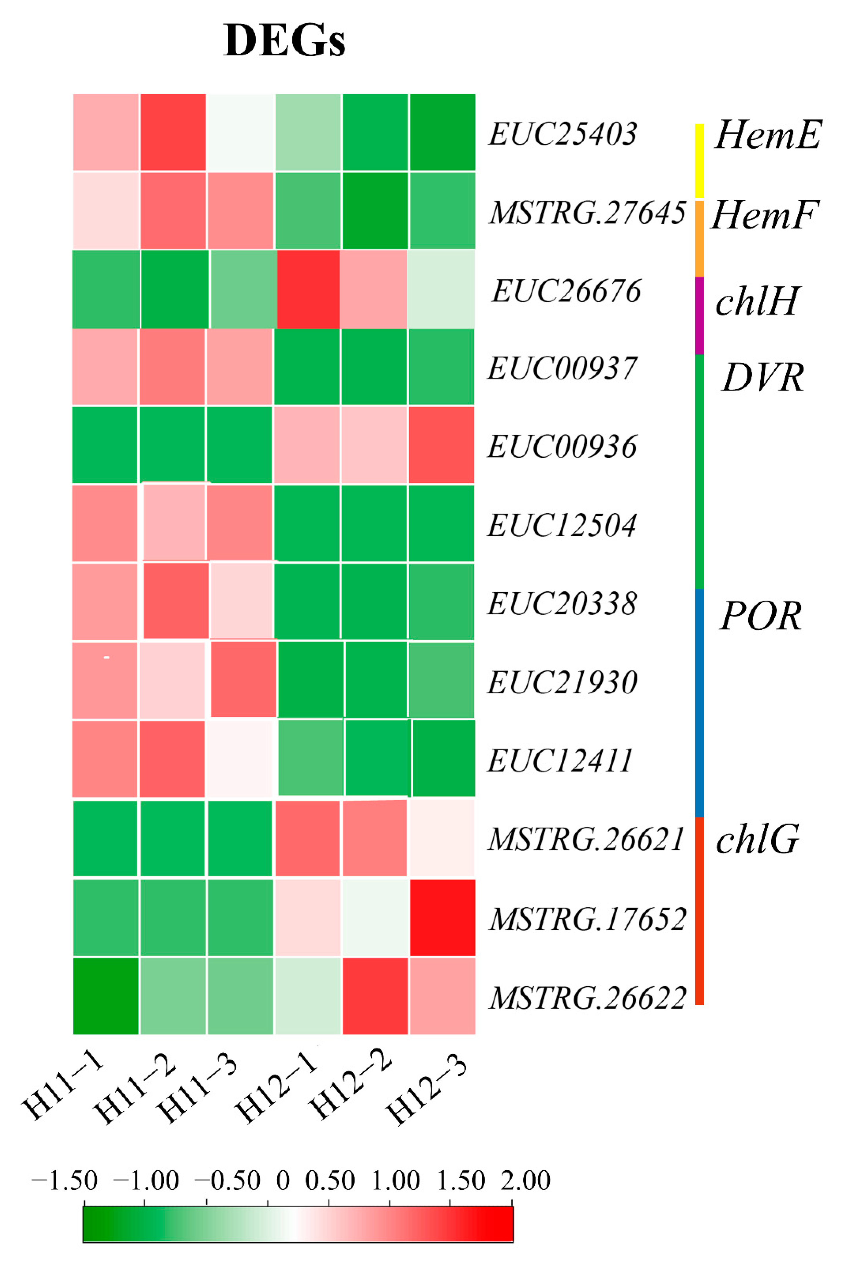Forests 12 01260 g004b