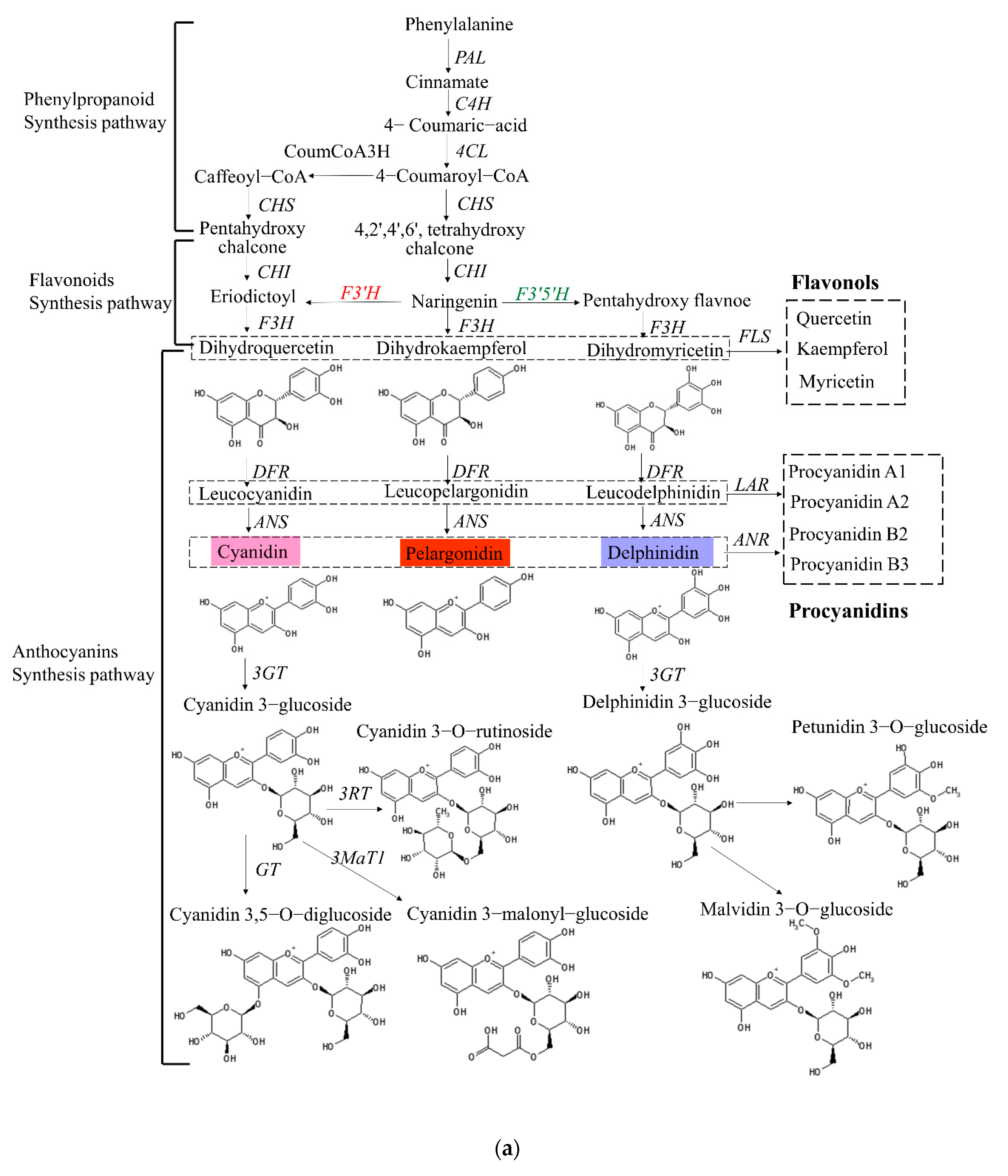 Forests 12 01260 g005a