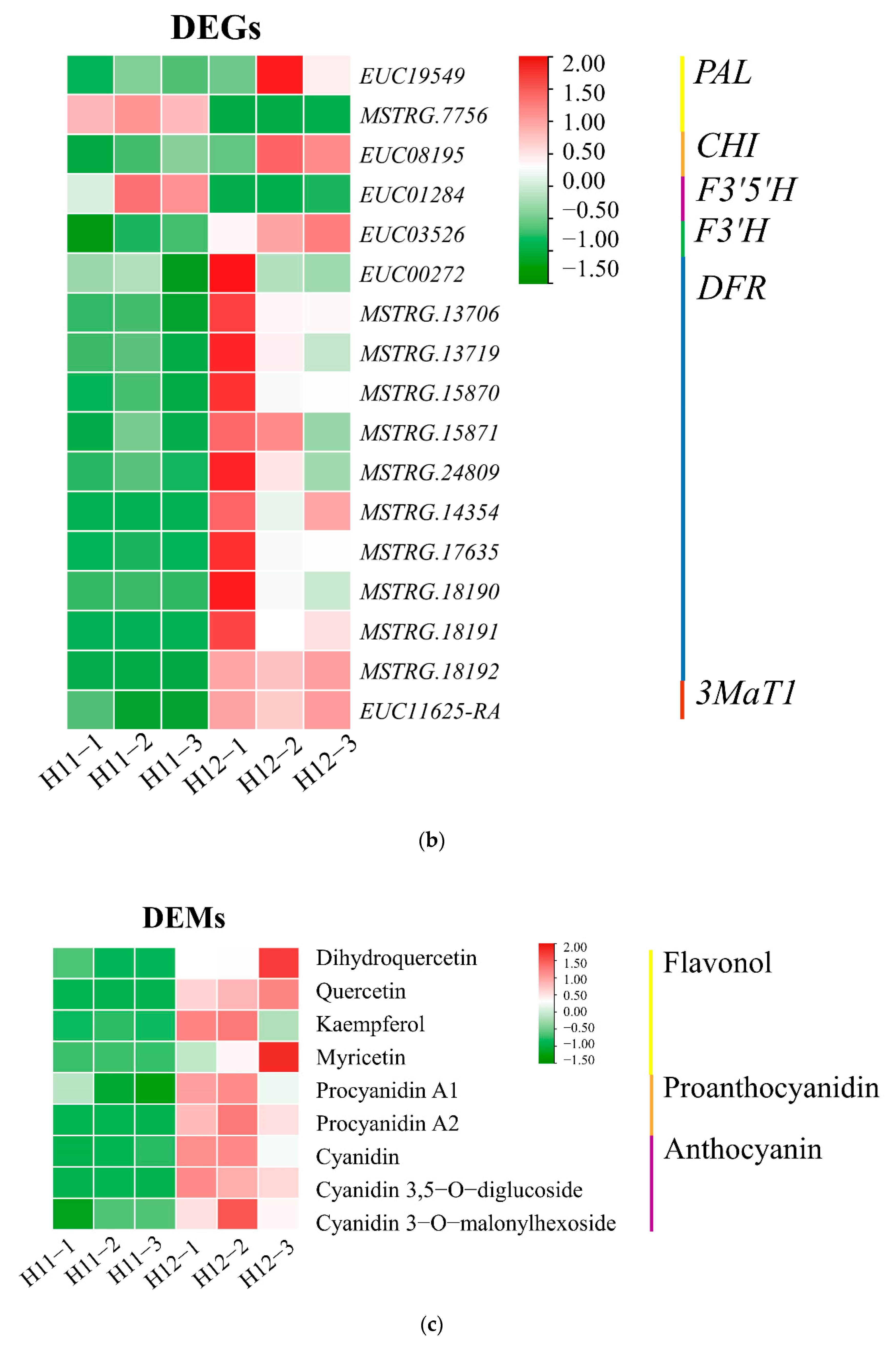 Forests 12 01260 g005b