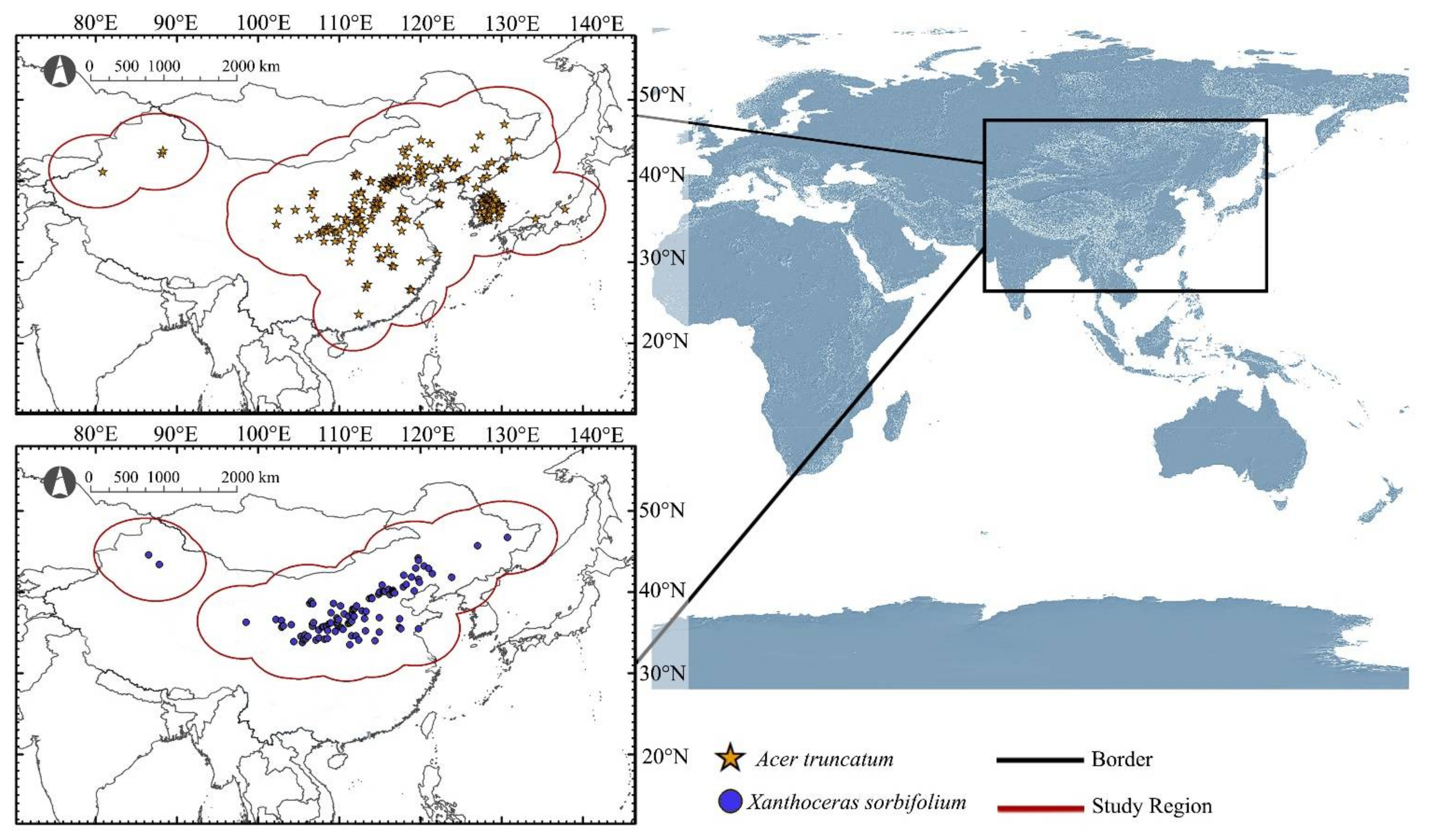 Forests 12 01263 g001