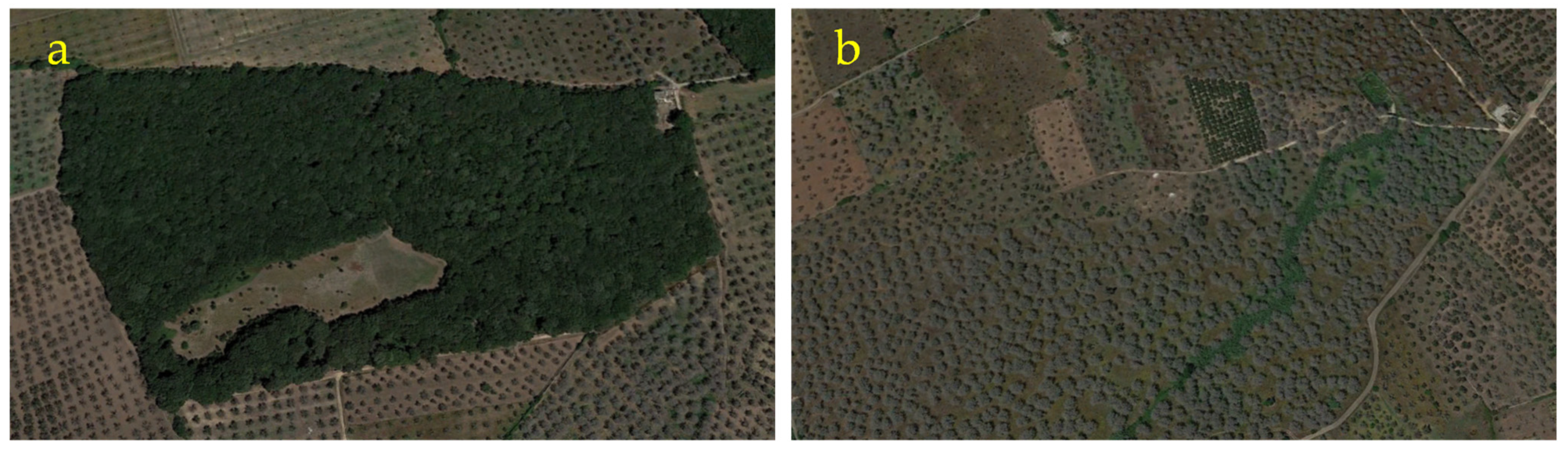 Forests 12 01266 g009