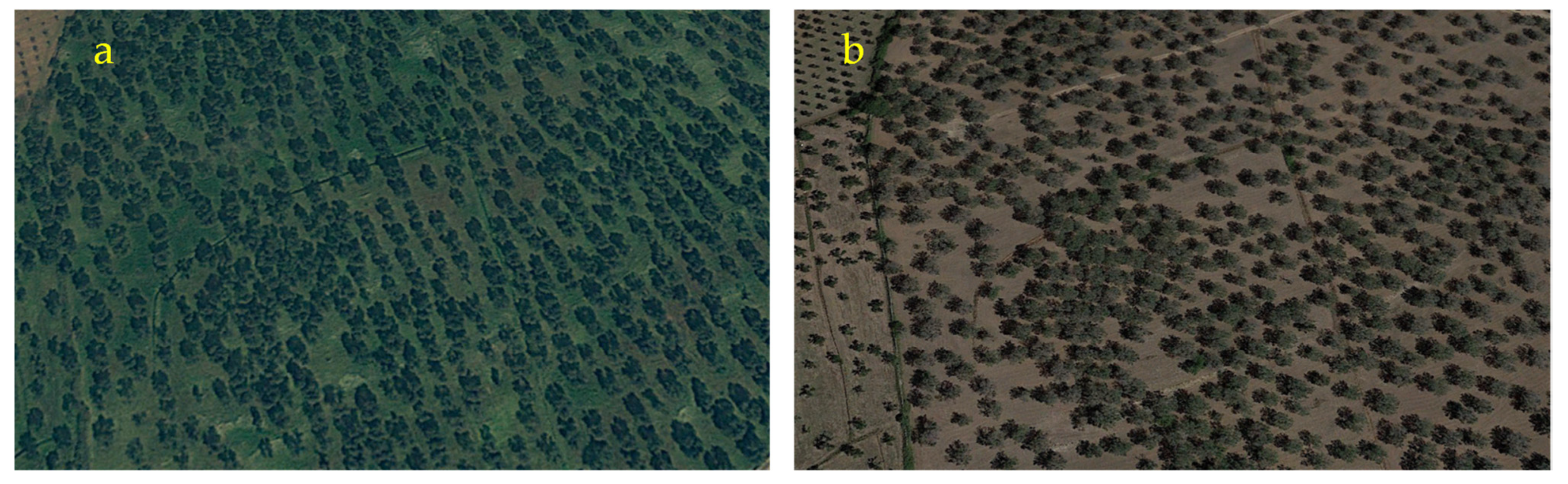 Forests 12 01266 g010