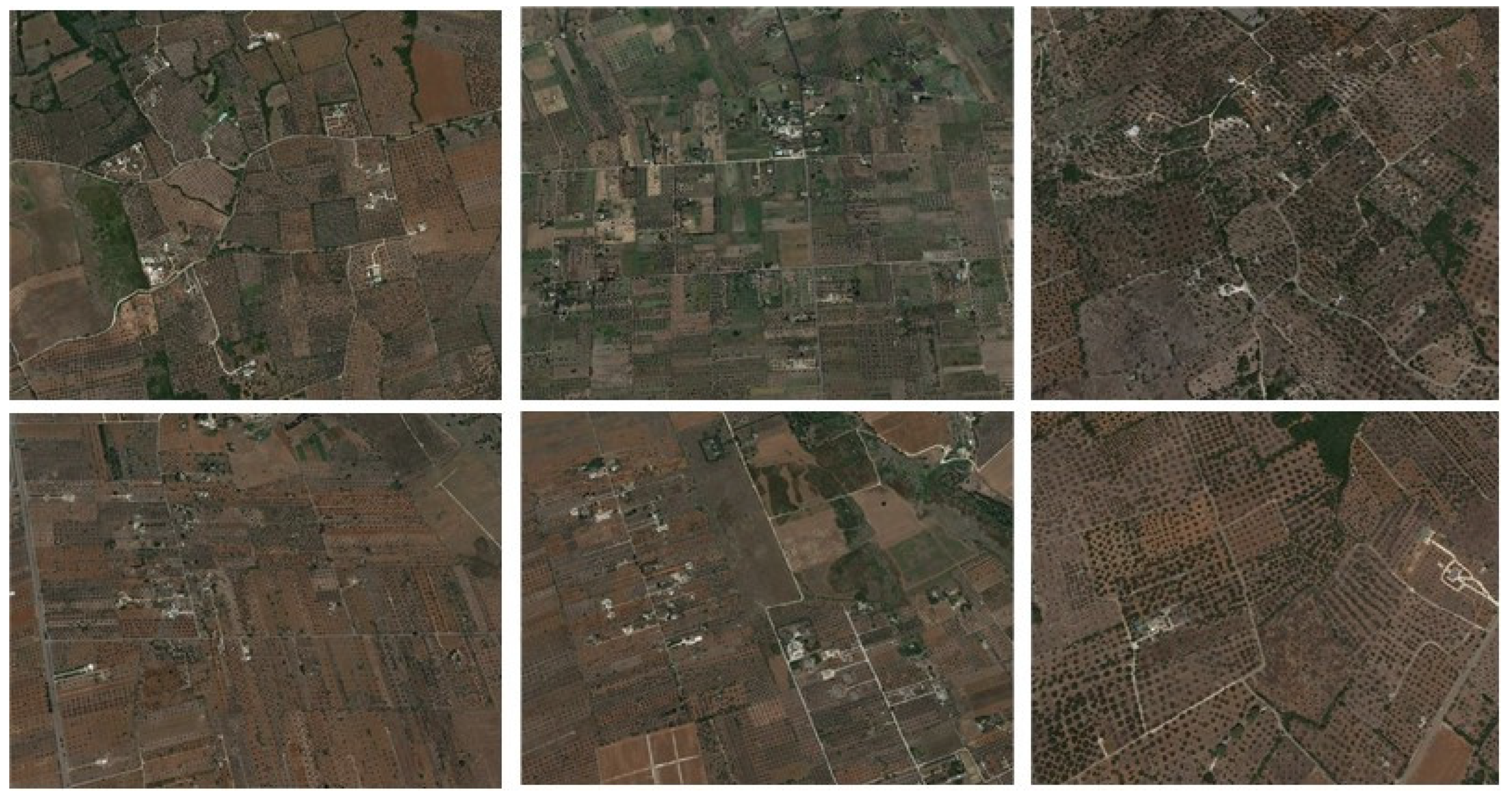 Forests 12 01266 g012