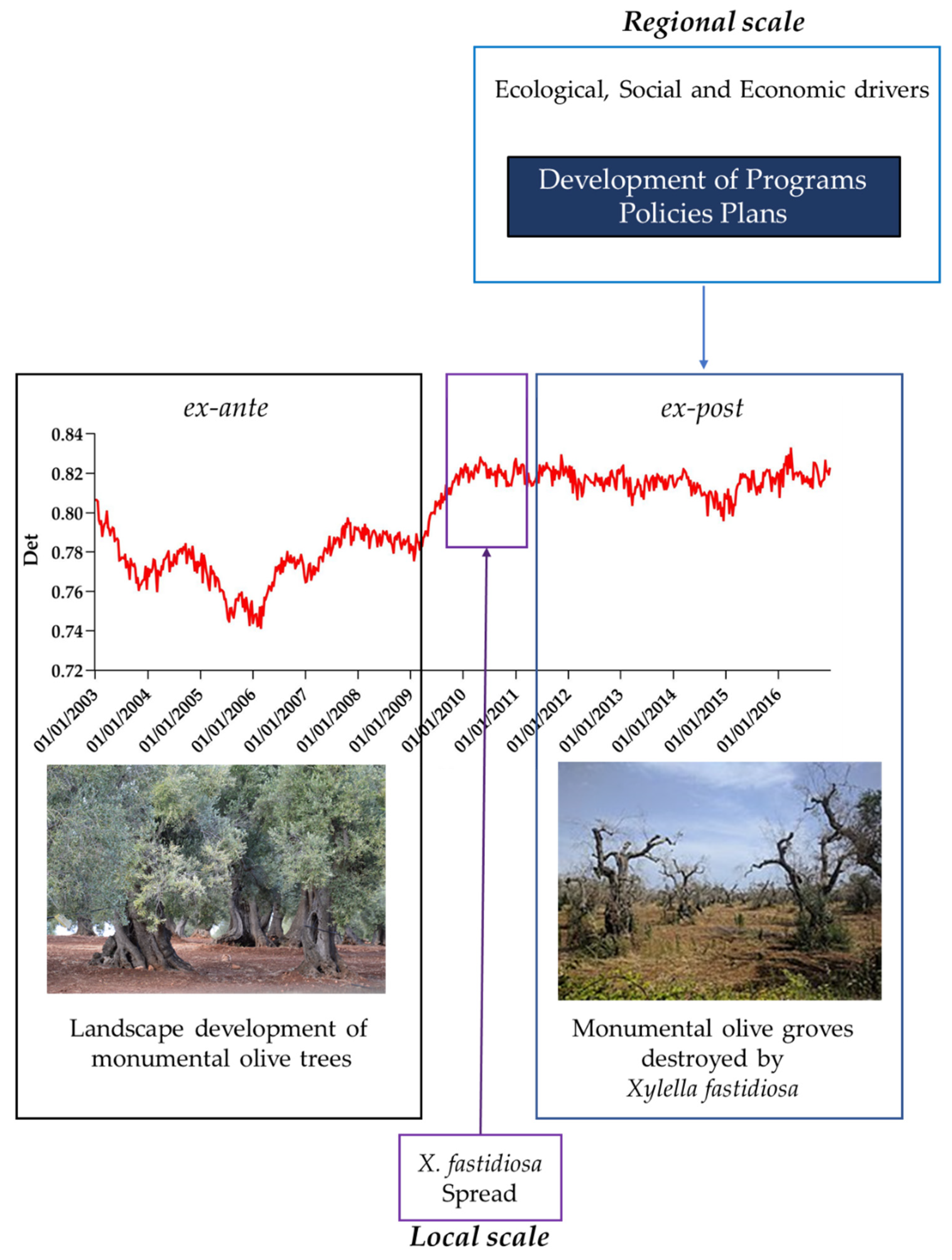 Forests 12 01266 g013