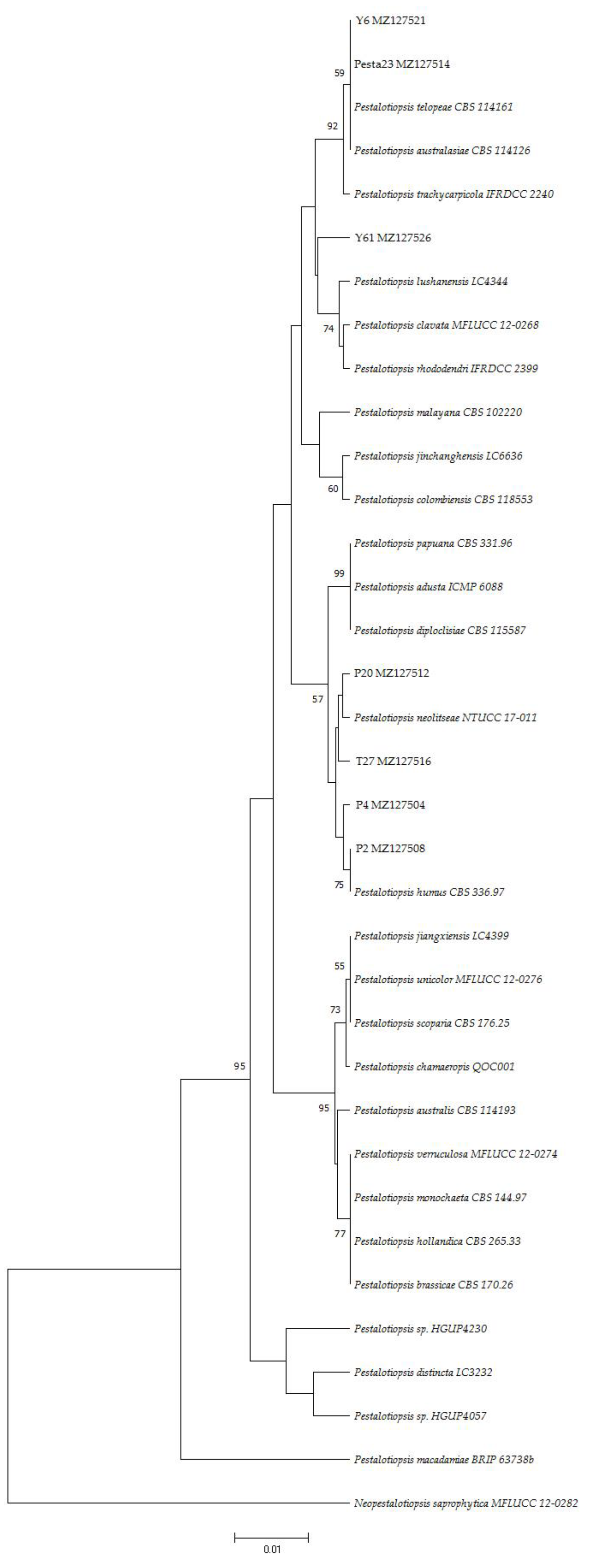 Forests 12 01273 g004