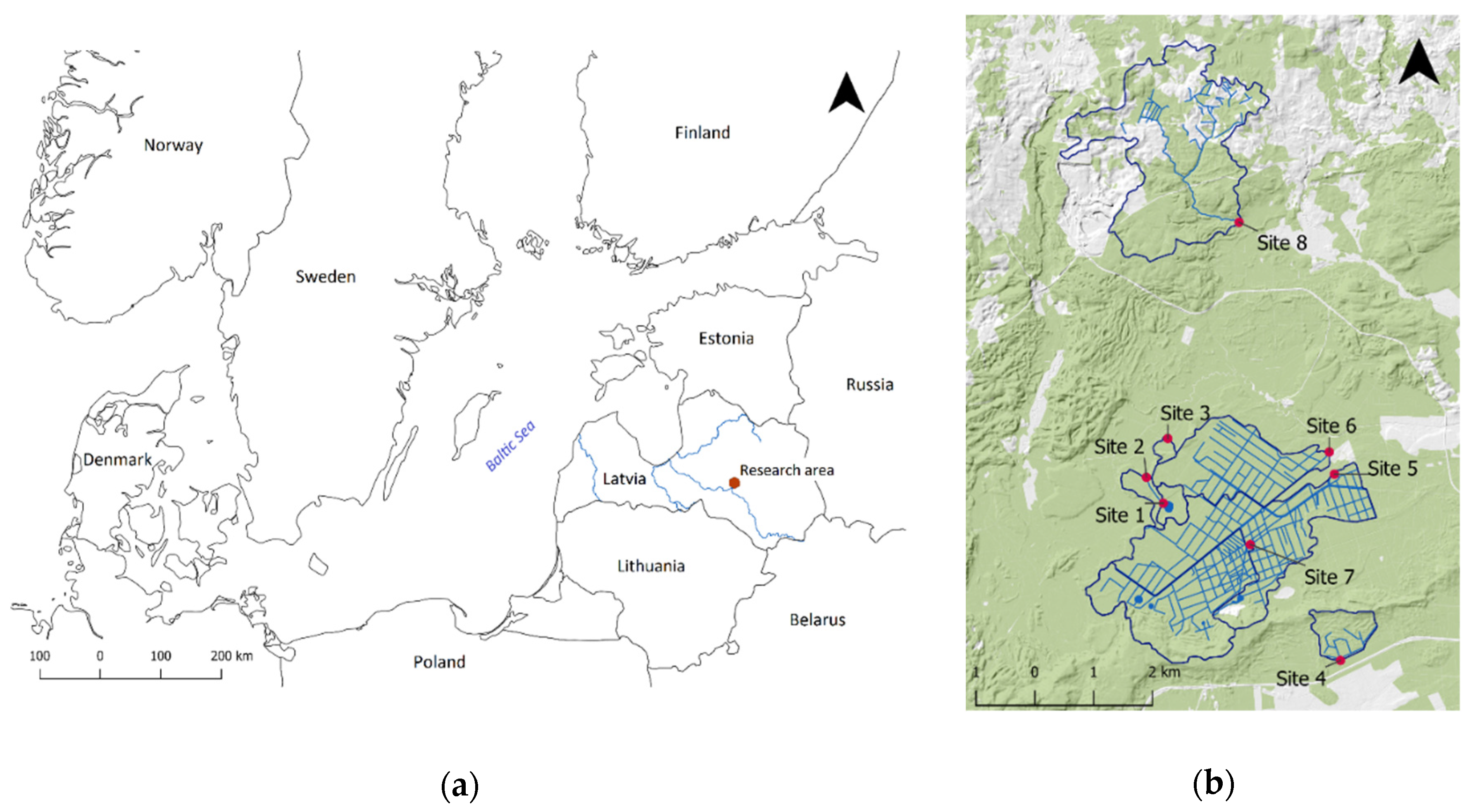 Forests 12 01278 g001