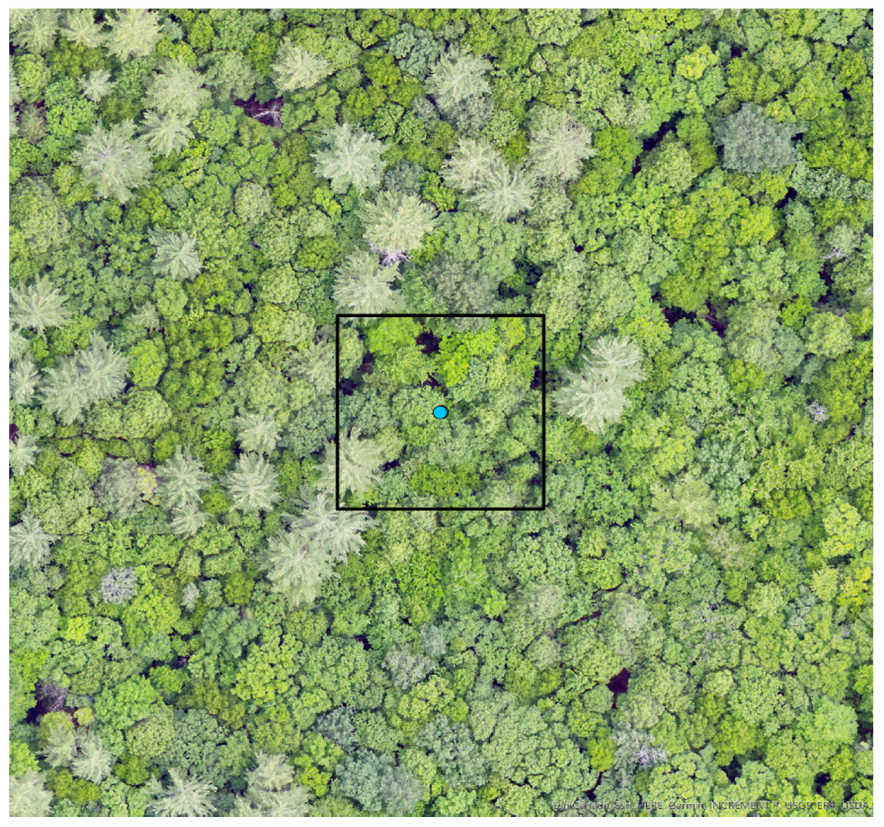 Forests 12 01290 g001