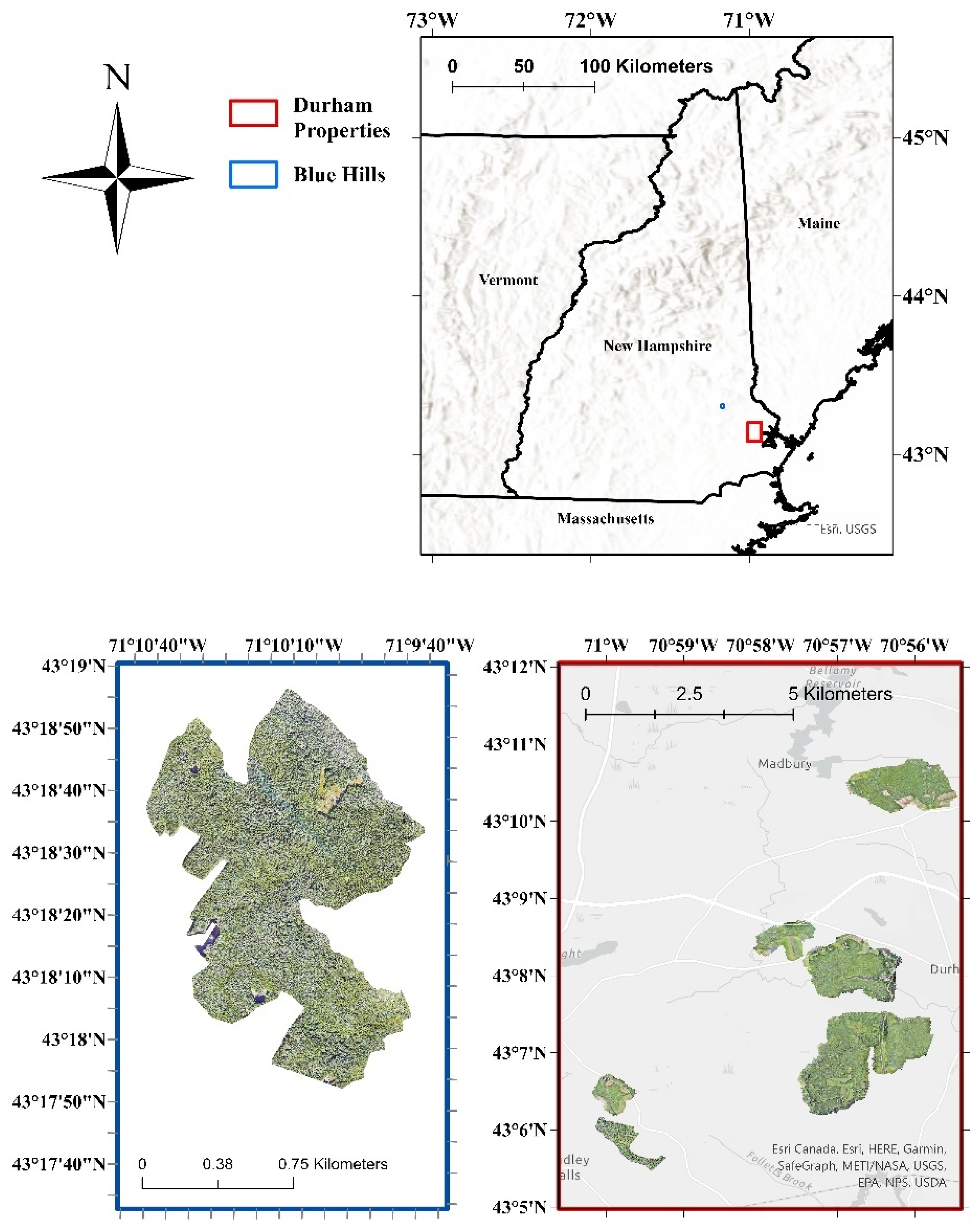 Forests 12 01290 g002
