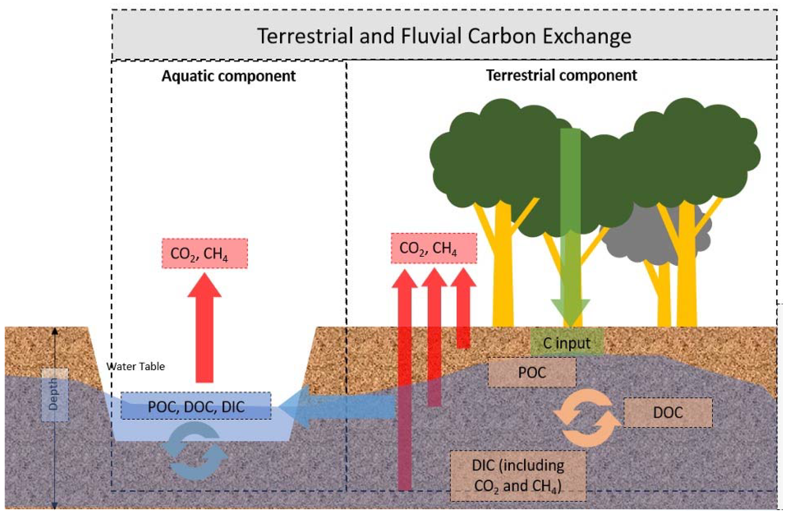Forests 12 01298 g001