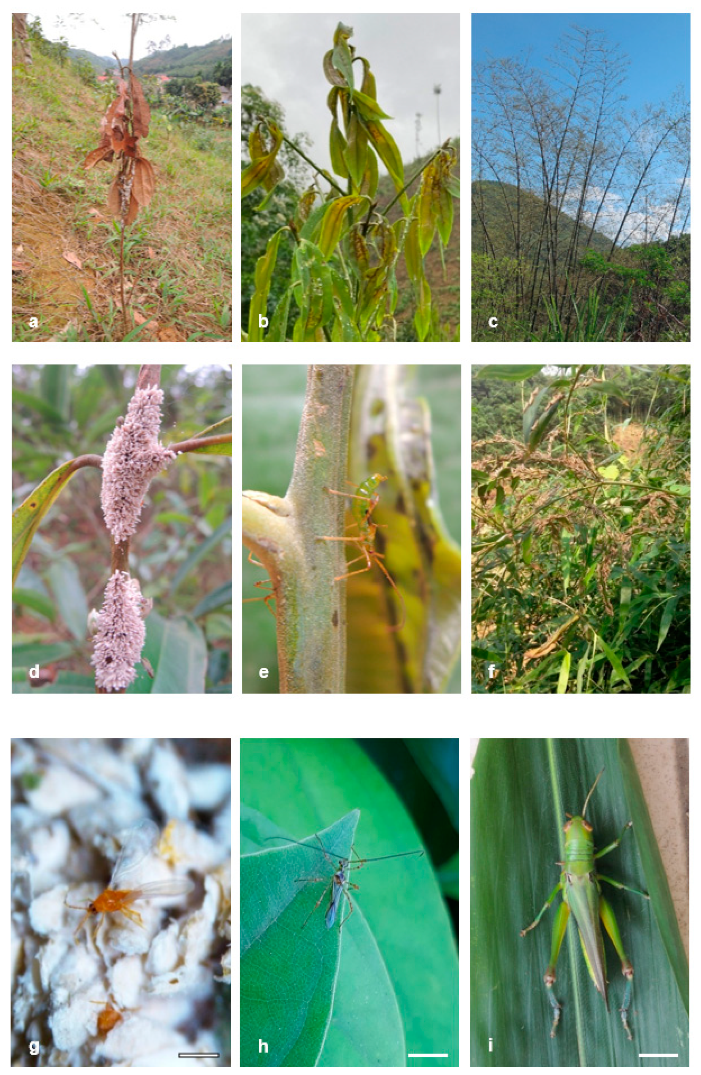 Forests 12 01301 g005