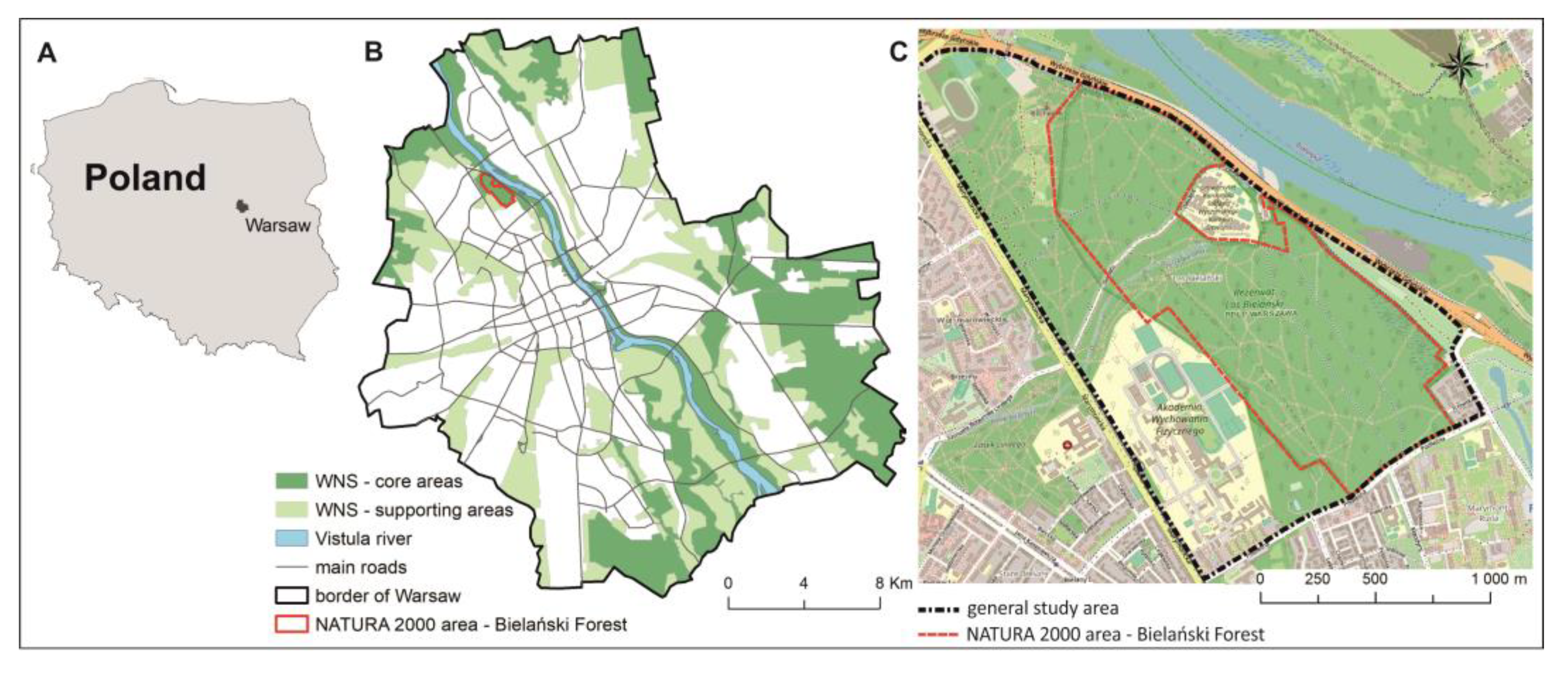 Forests 12 01316 g001