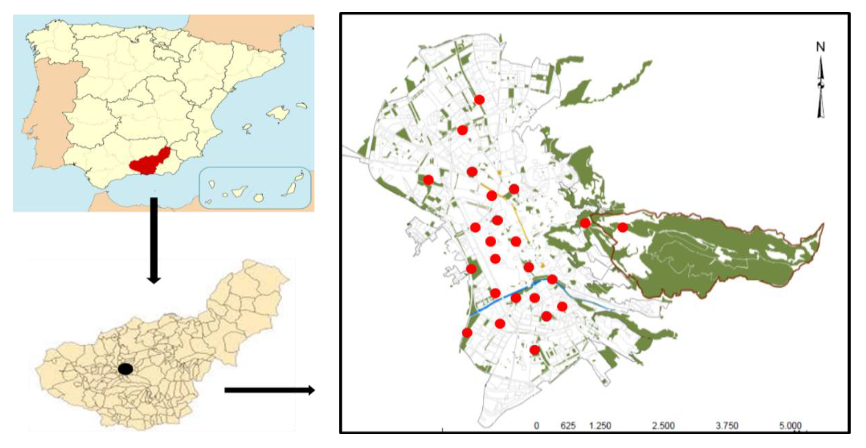 Forests 12 01320 g001