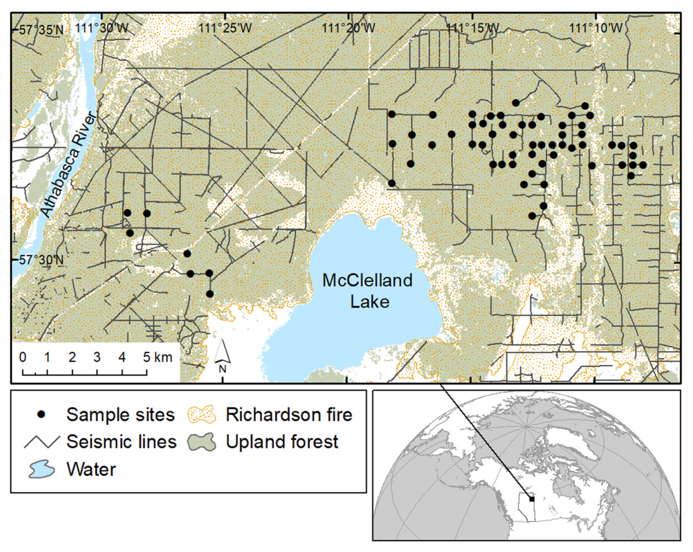 Forests 12 01330 g001
