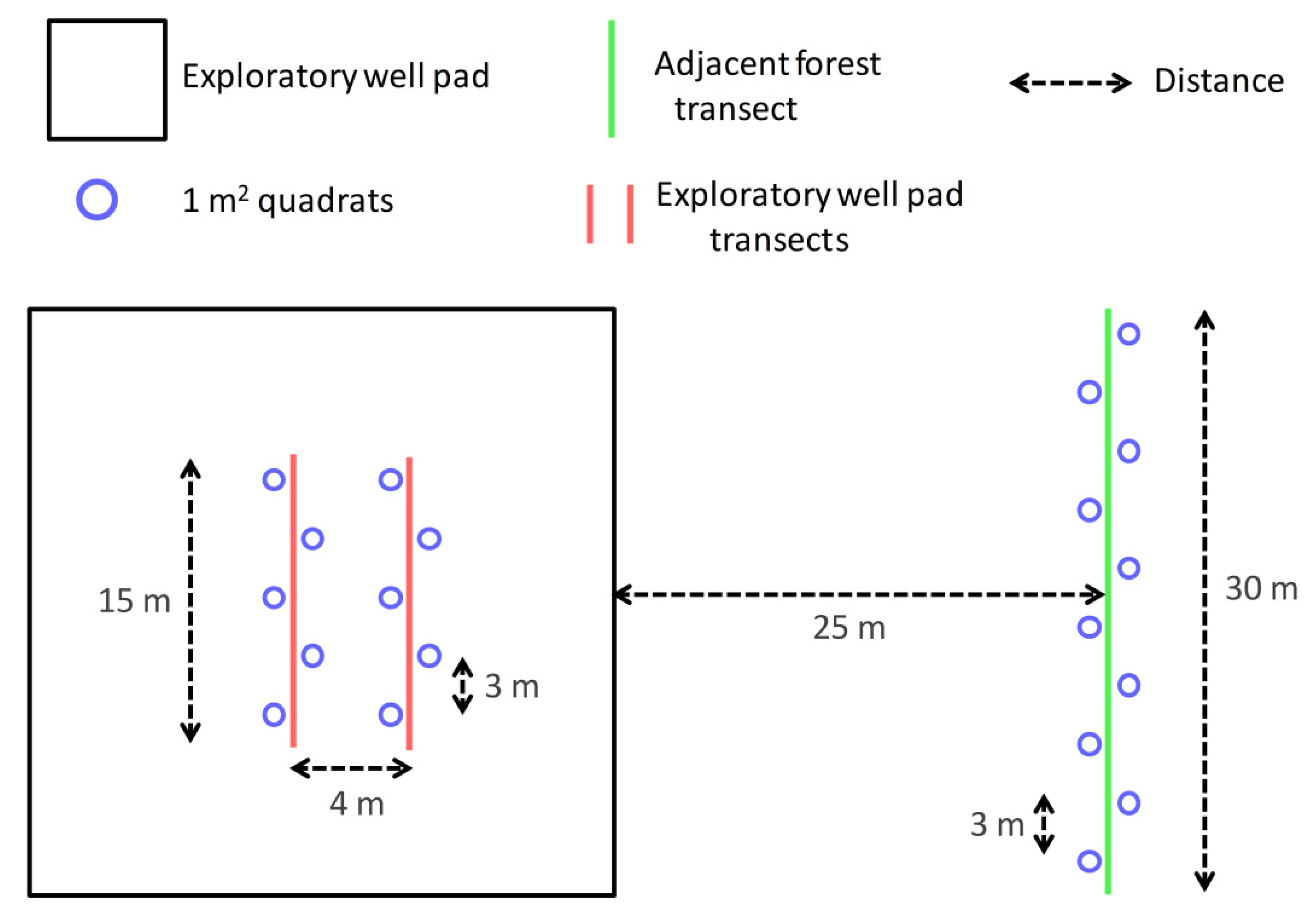 Forests 12 01330 g003