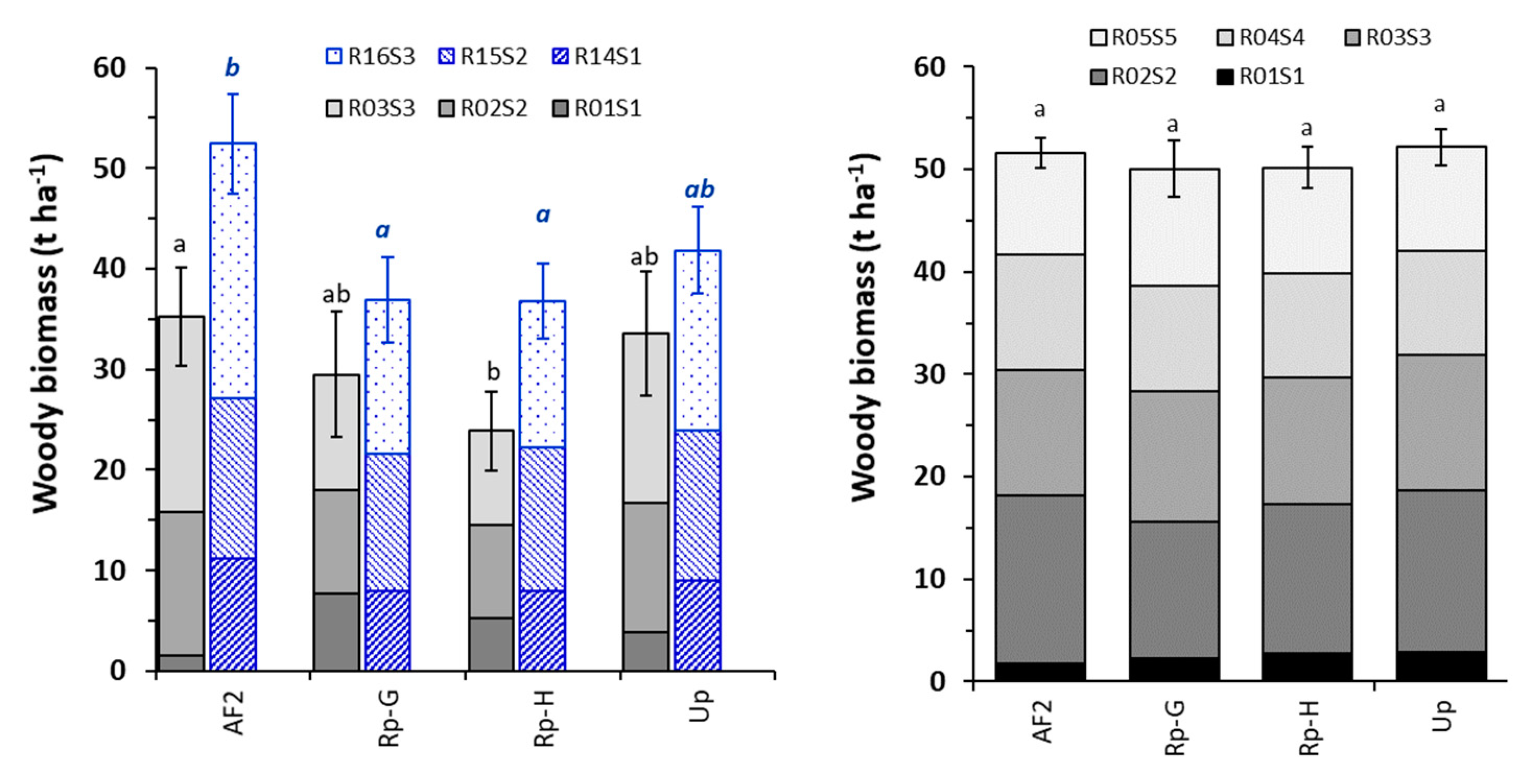 Forests 12 01337 g003