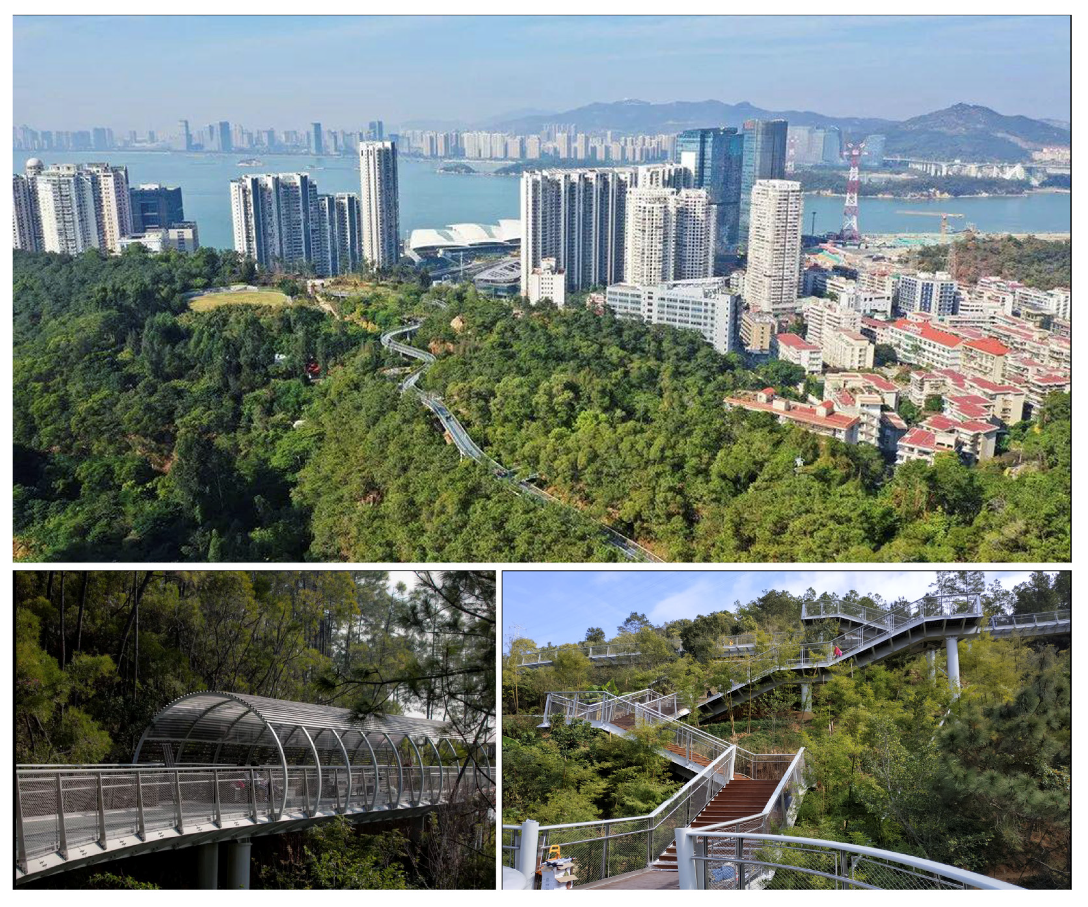 Forests 12 01343 g009