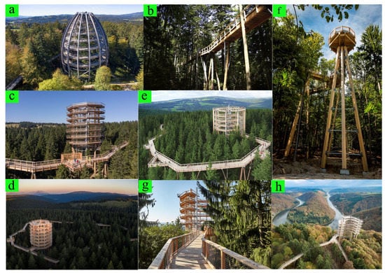 Forests 12 01343 g0a1 550