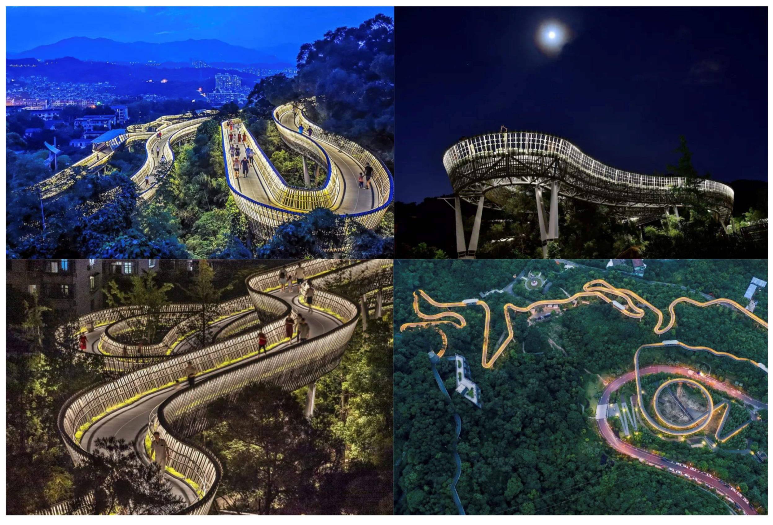 Forests 12 01343 g0a4