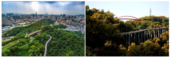 Forests 12 01343 g0a5 550