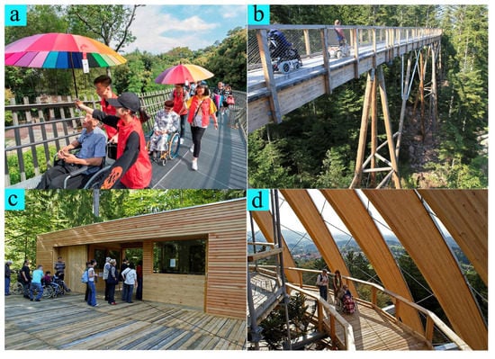 Forests 12 01343 g0a7 550