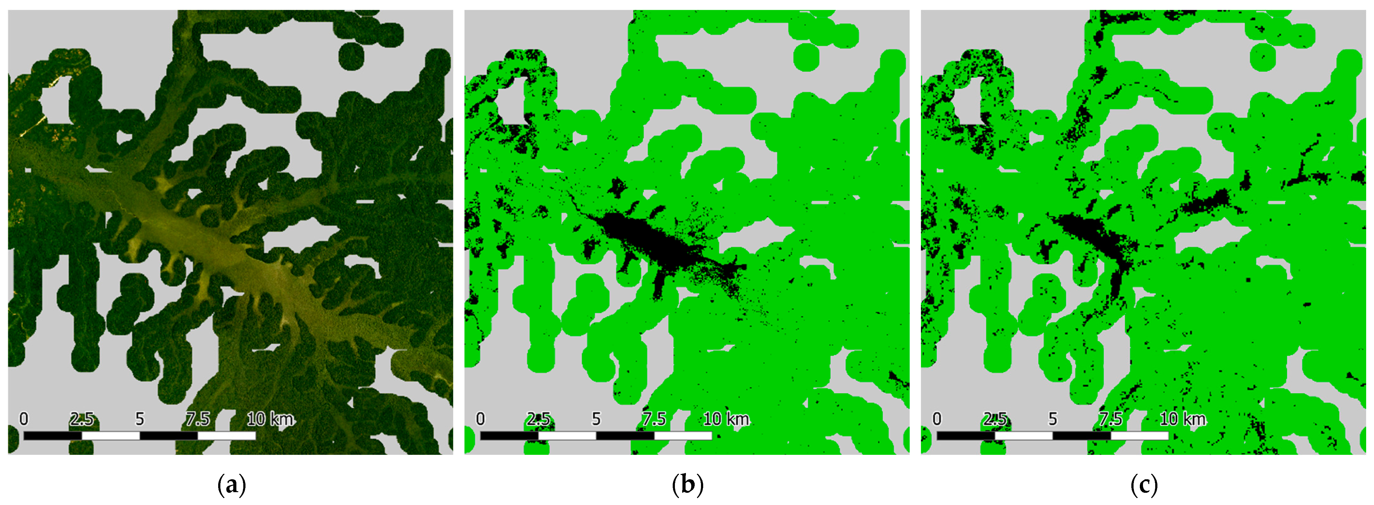 Forests 12 01374 g001