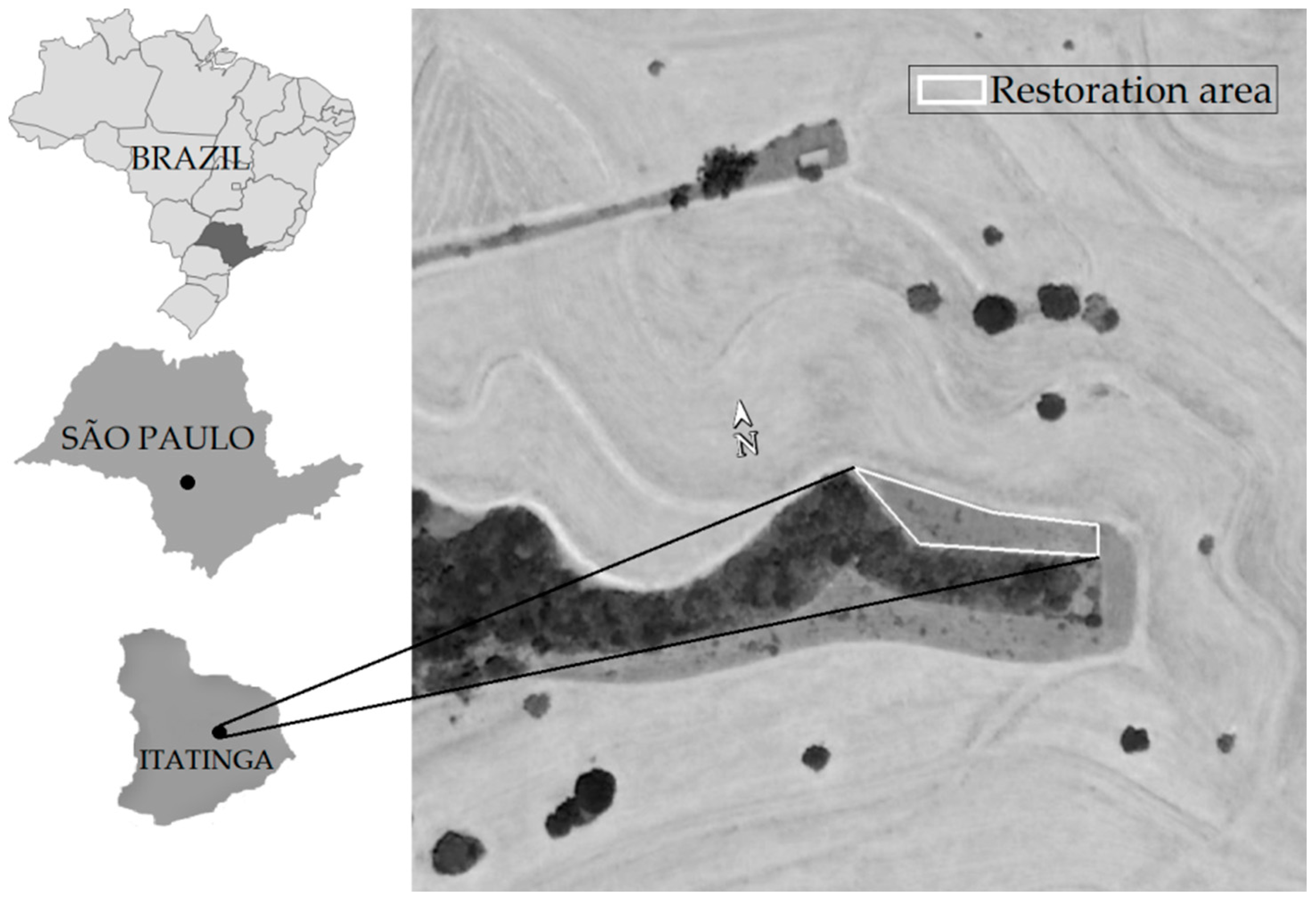 Forests 12 01381 g001