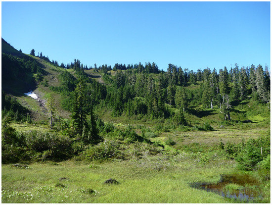 Forests 12 01390 g0a2 550