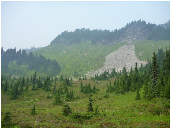 Forests 12 01390 g0a3 550