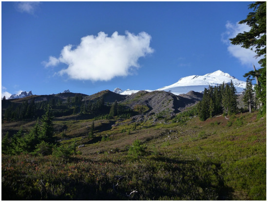 Forests 12 01390 g0a4 550