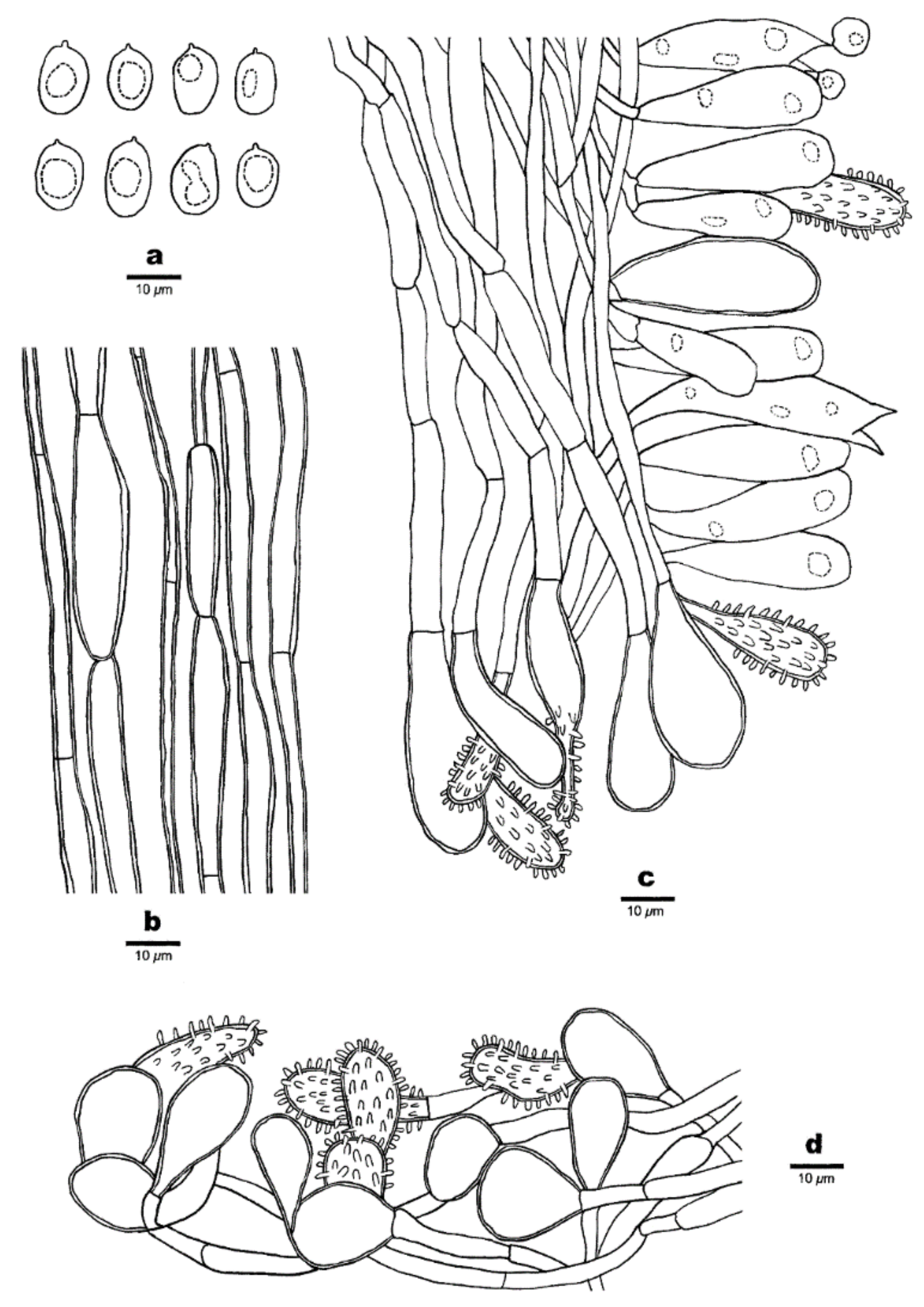 Forests 12 01397 g007