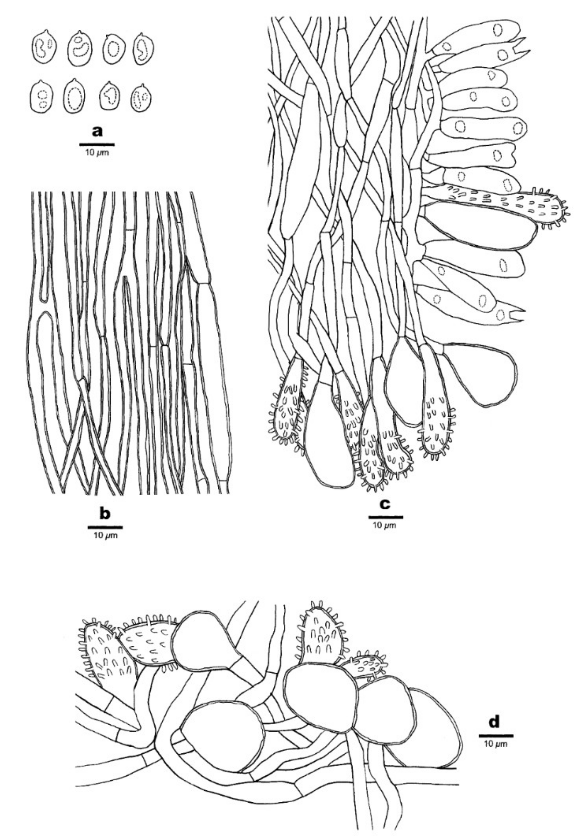 Forests 12 01397 g015