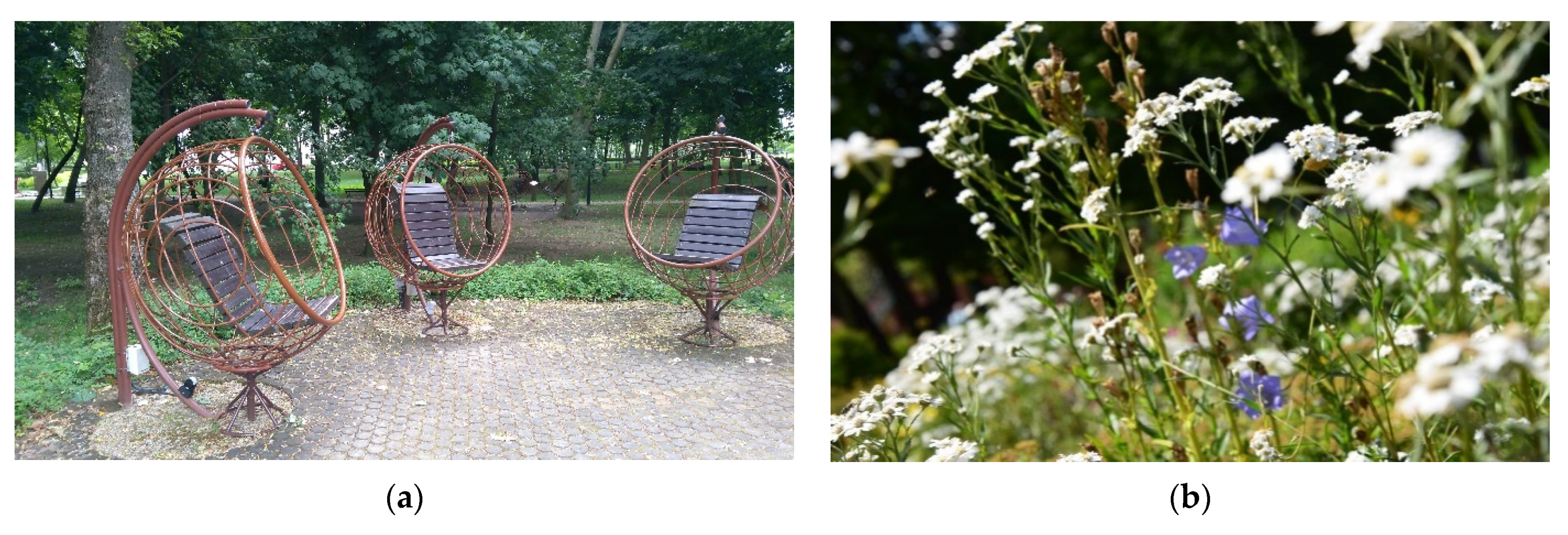 Forests 12 01402 g002