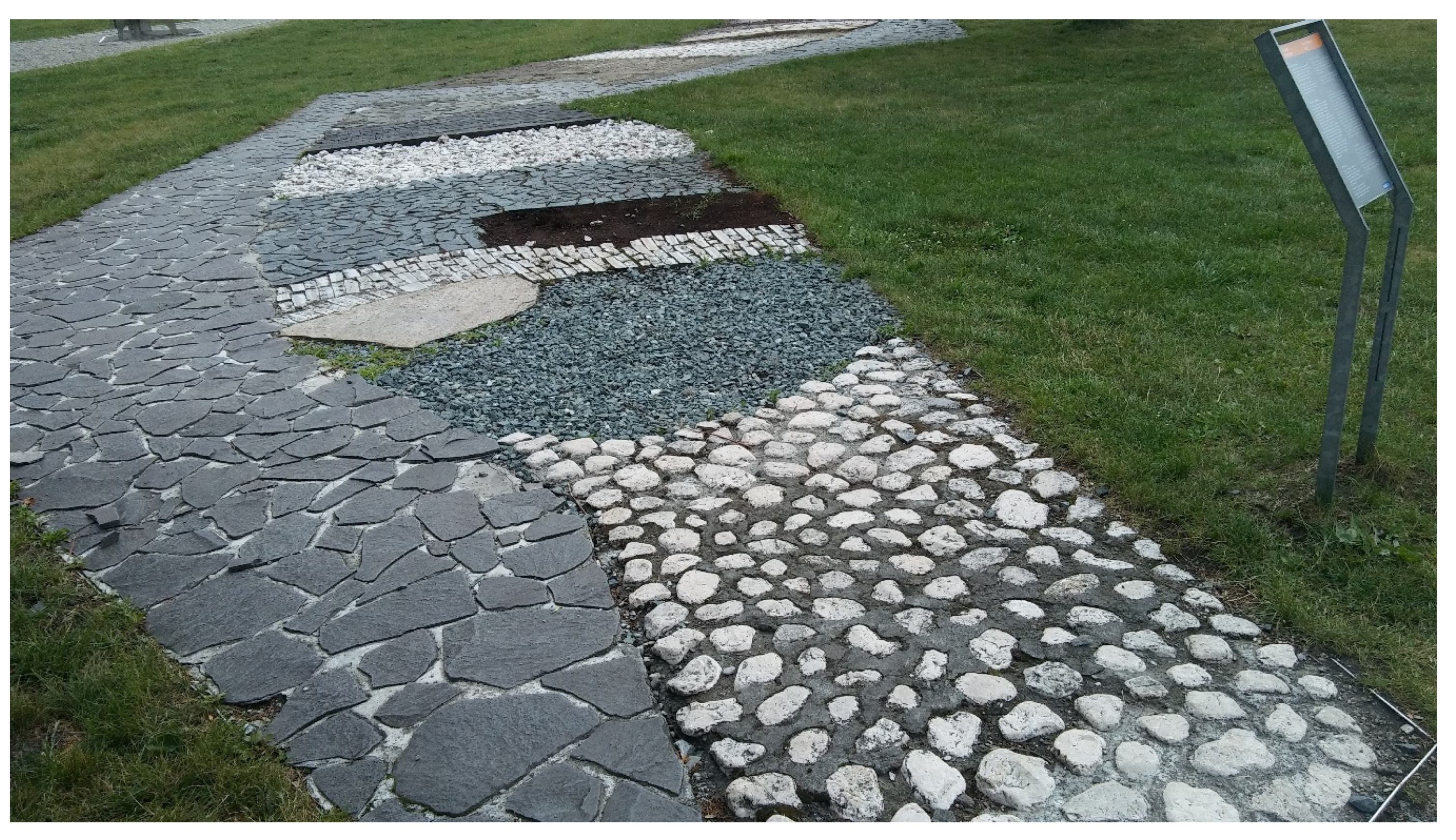 Forests 12 01402 g004b