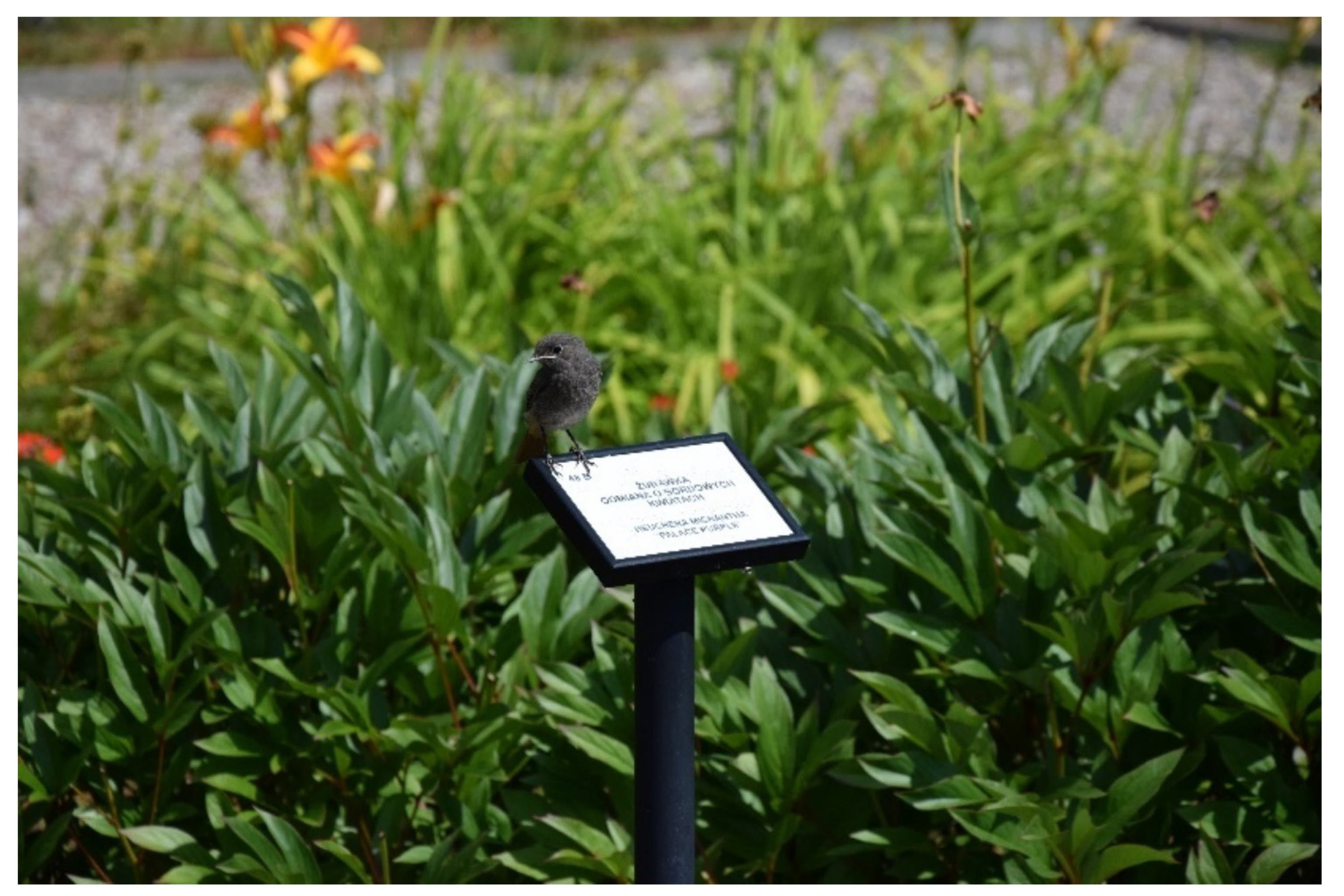 Forests 12 01402 g005