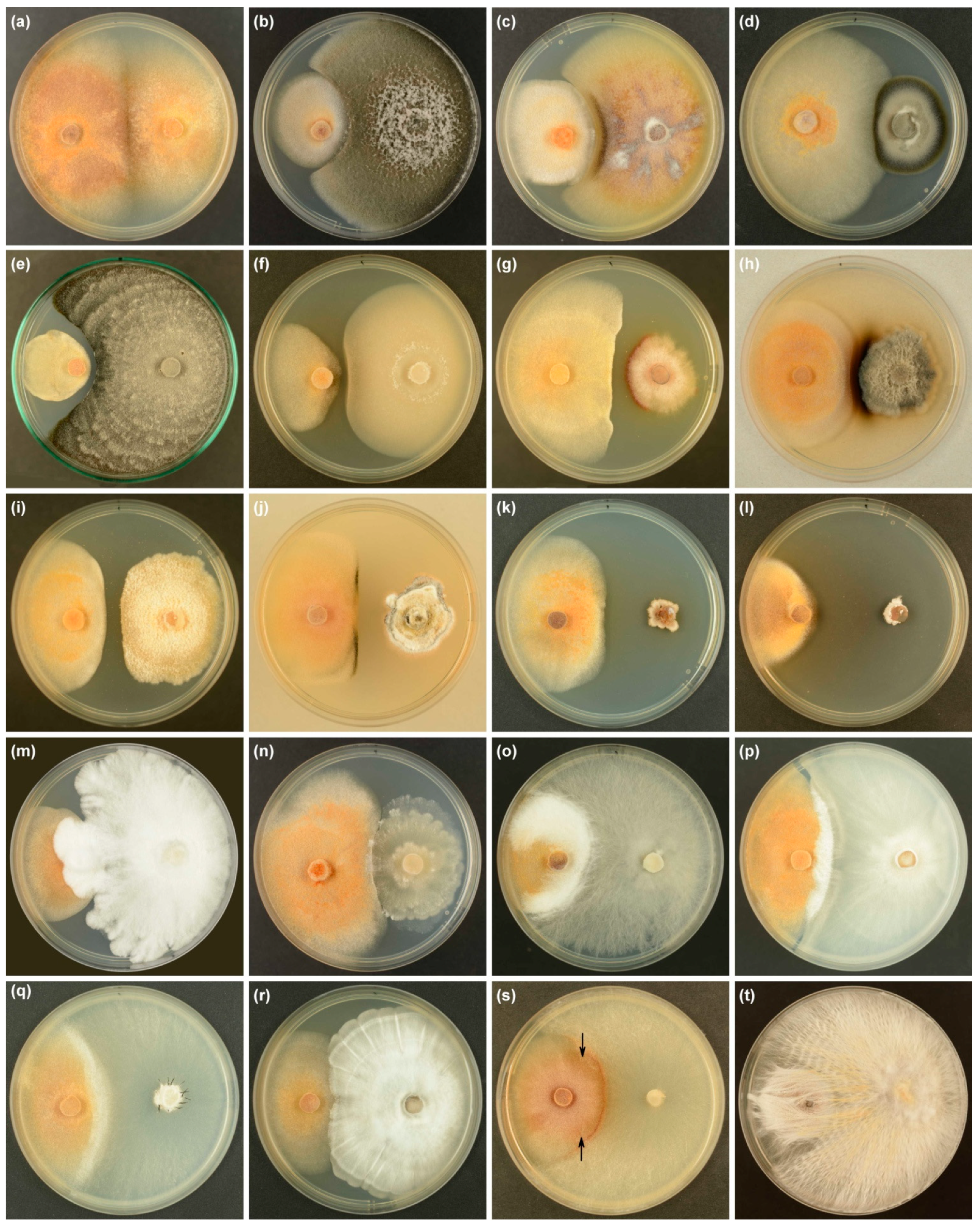 Forests 12 01412 g009