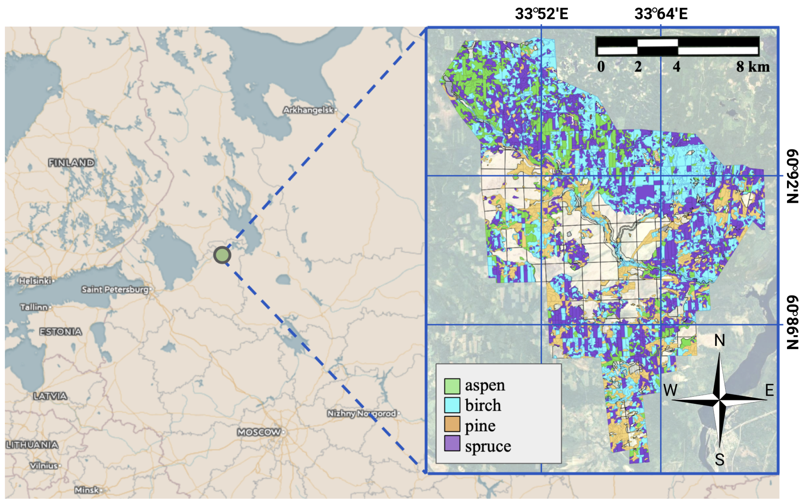 Forests 12 01413 g001