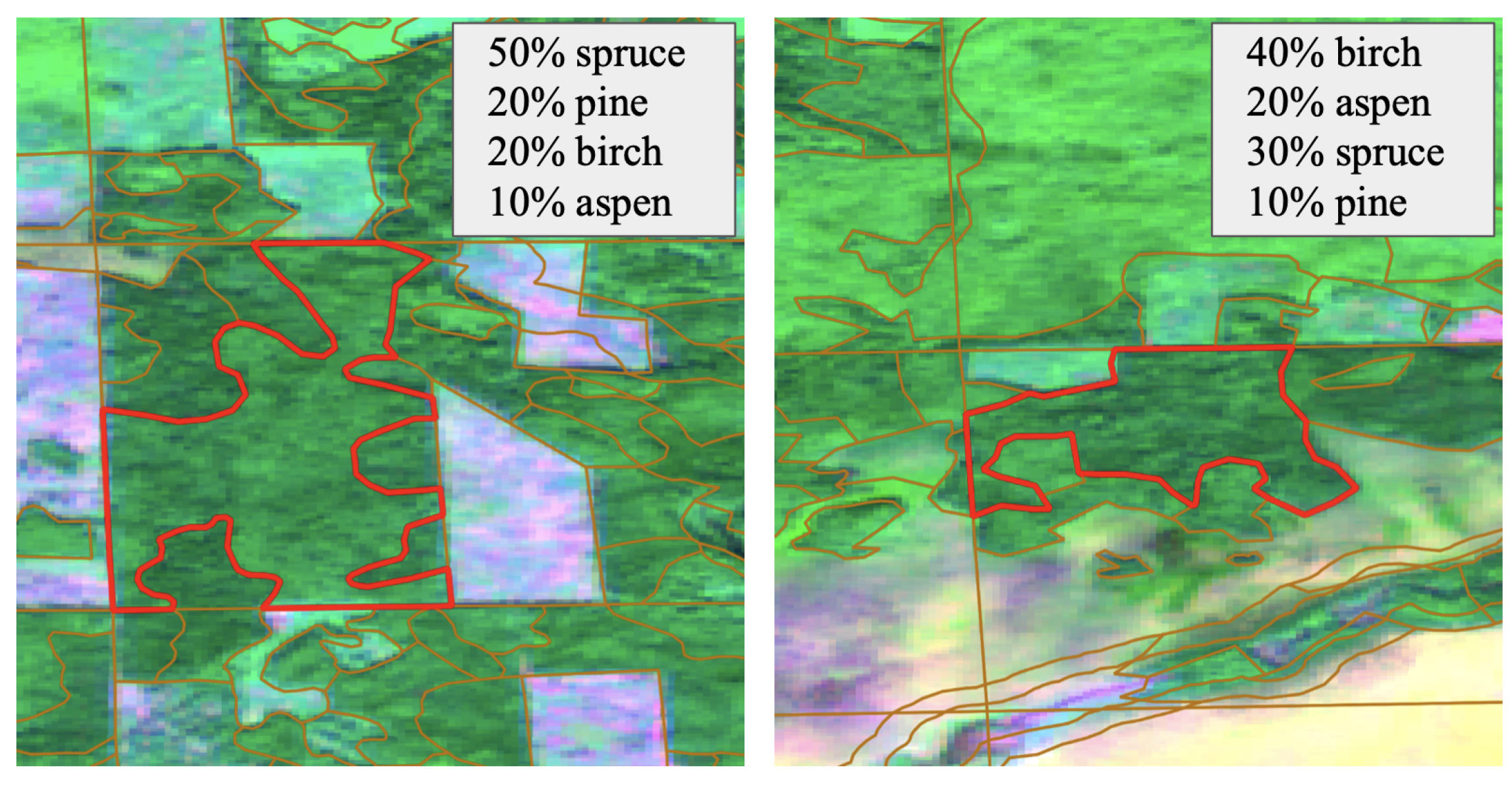 Forests 12 01413 g004