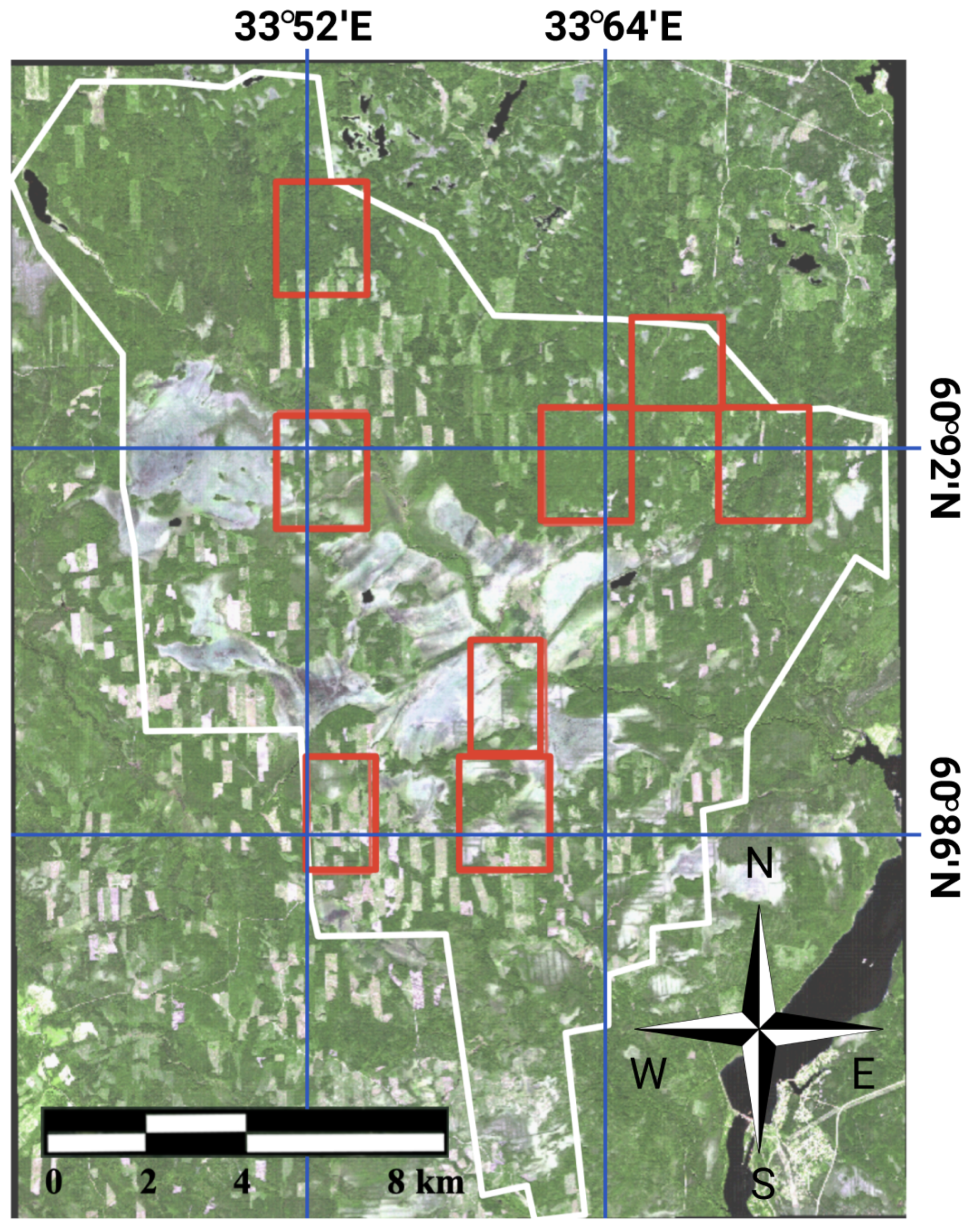 Forests 12 01413 g005