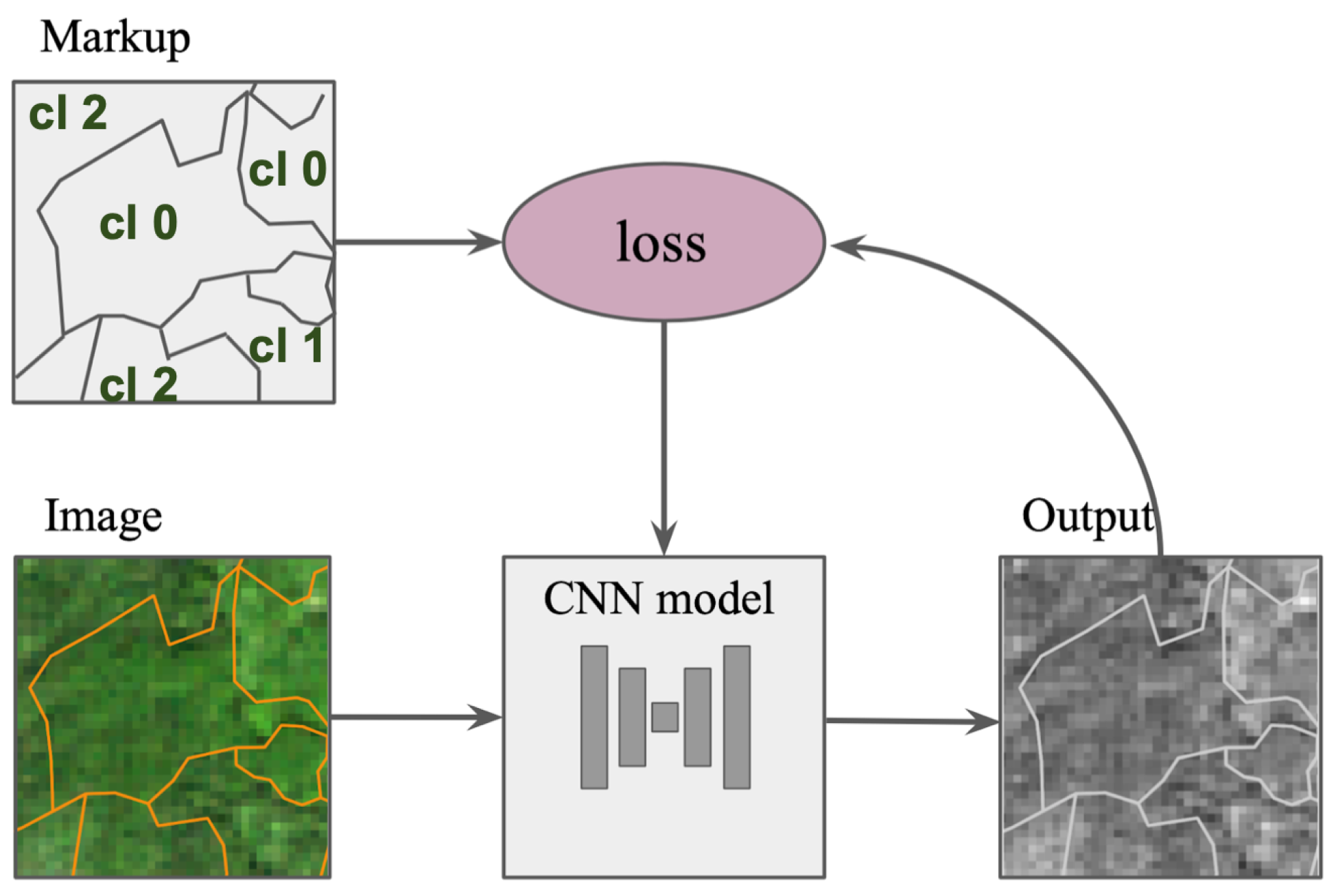 Forests 12 01413 g007