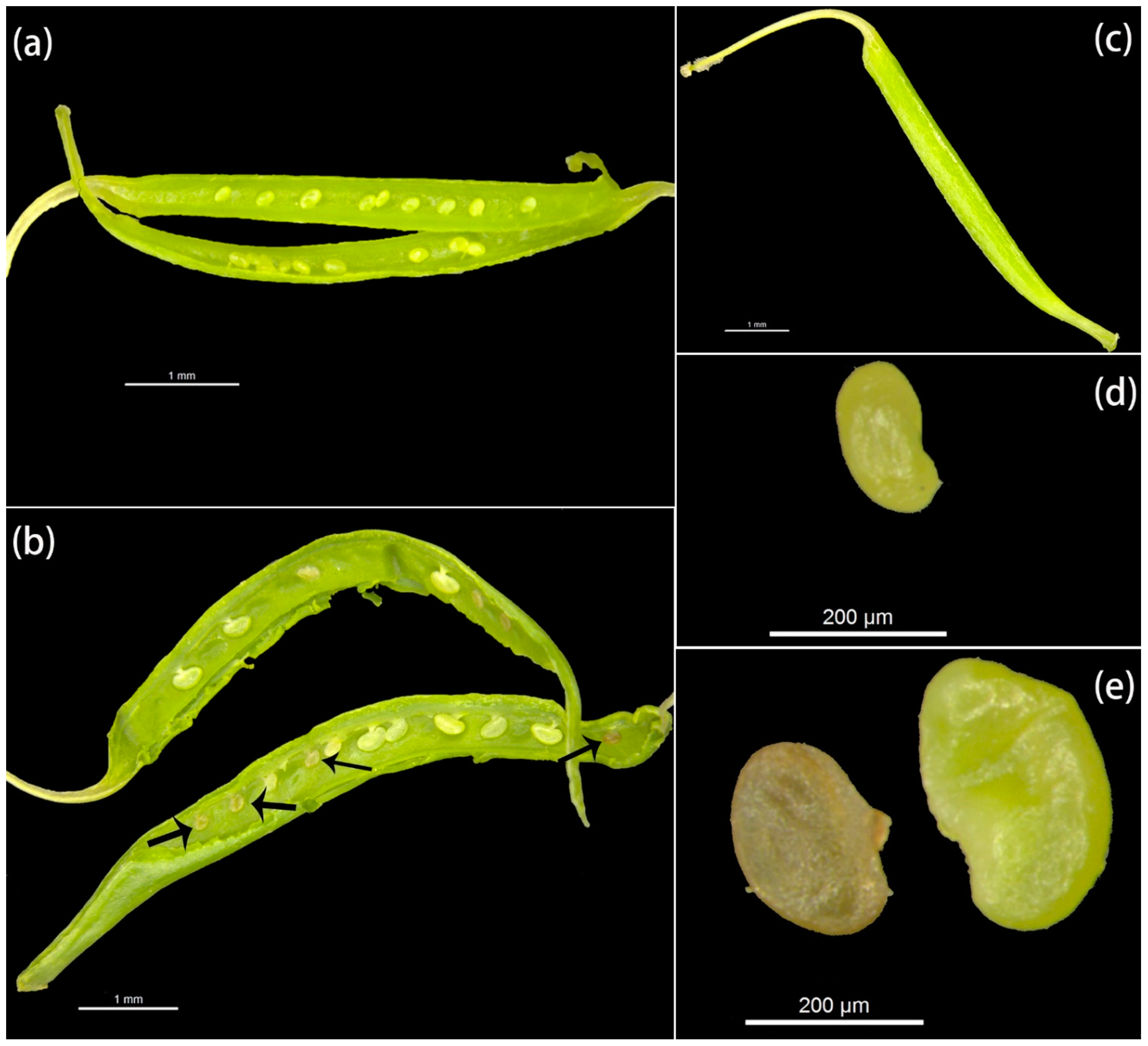 Forests 12 01416 g002