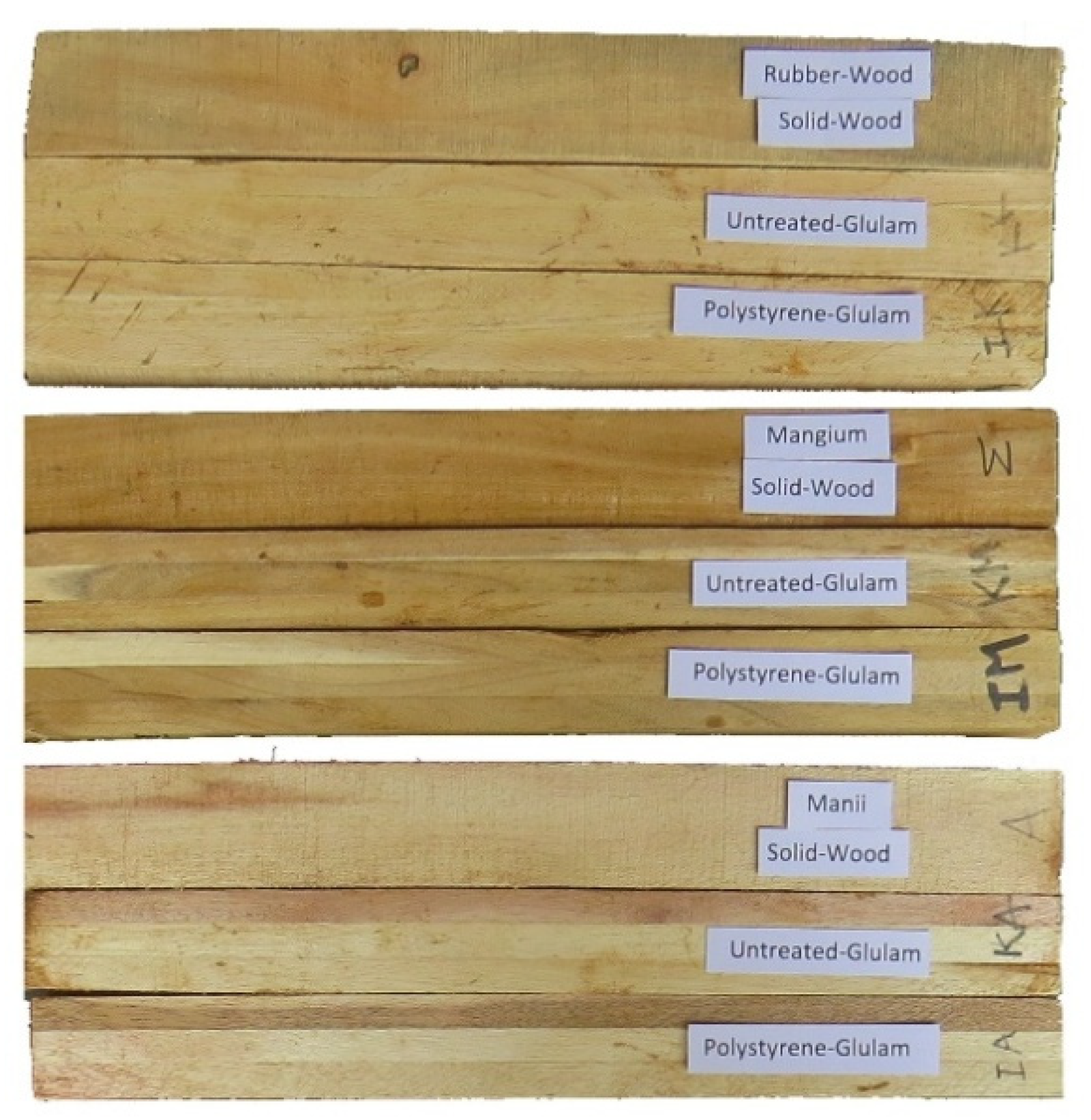 Forests 12 01420 g001