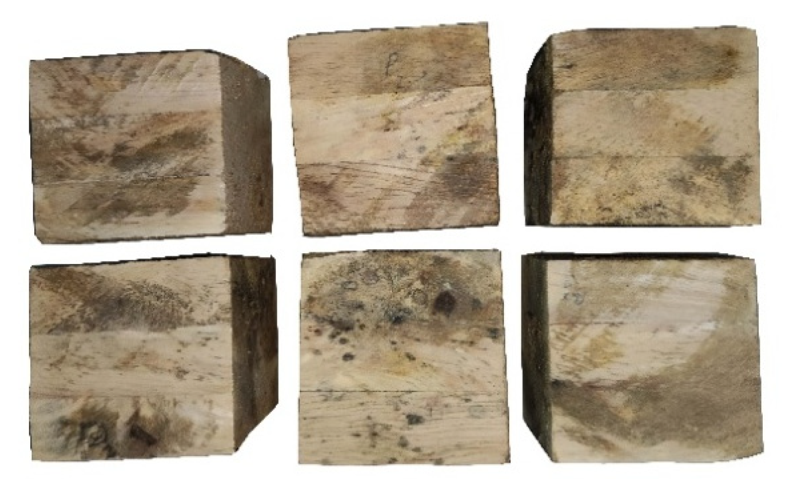 Forests 12 01420 g006