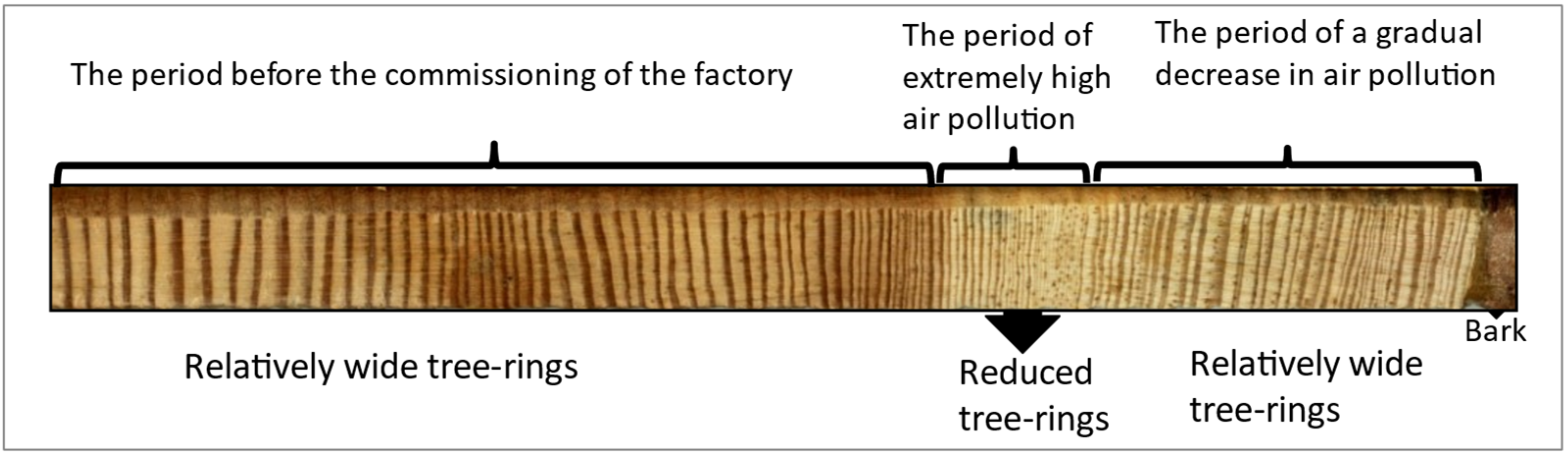 Forests 12 01421 g004